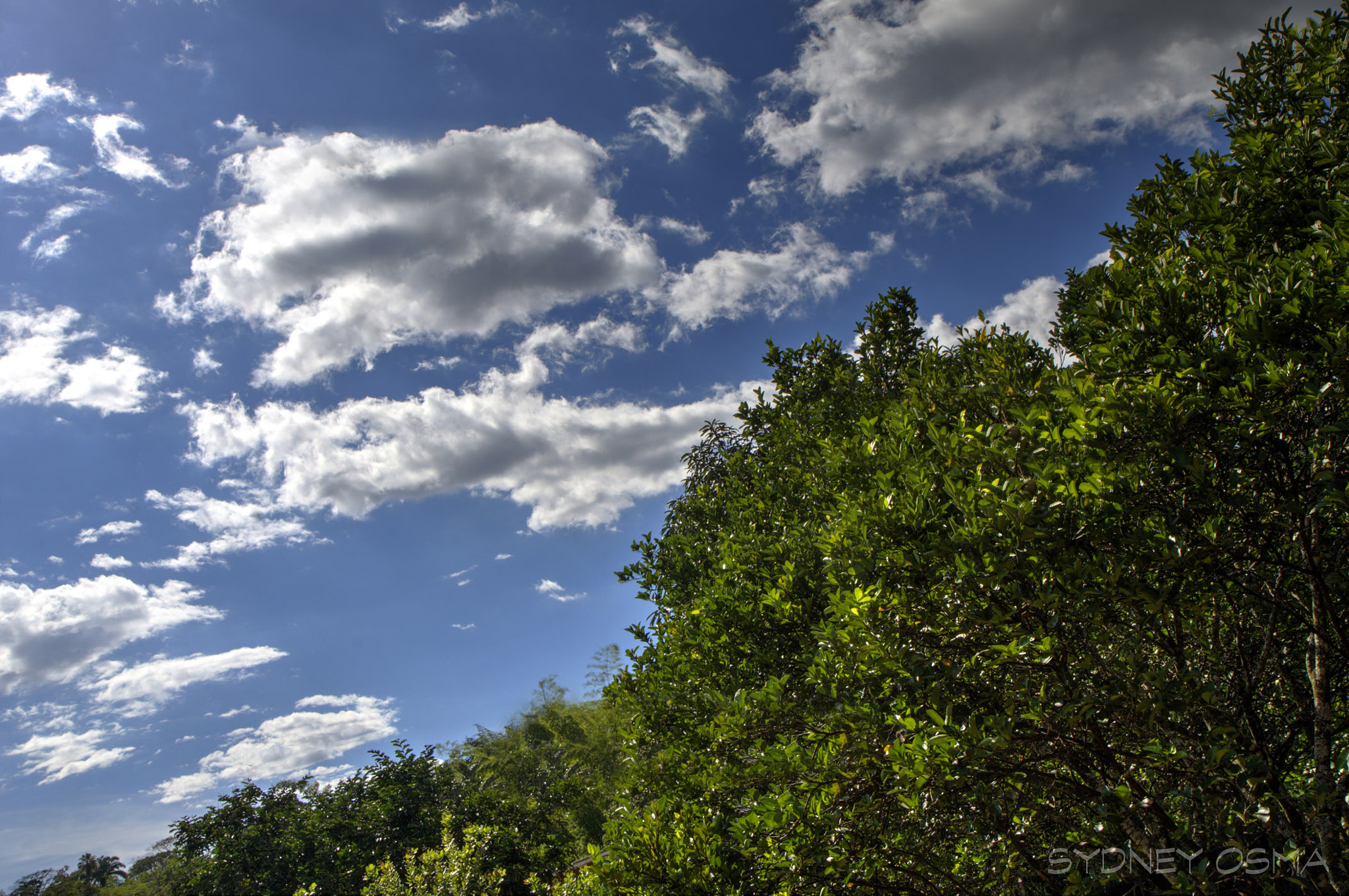 Canon EOS 1100D (EOS Rebel T3 / EOS Kiss X50) sample photo. Perfect sky photography