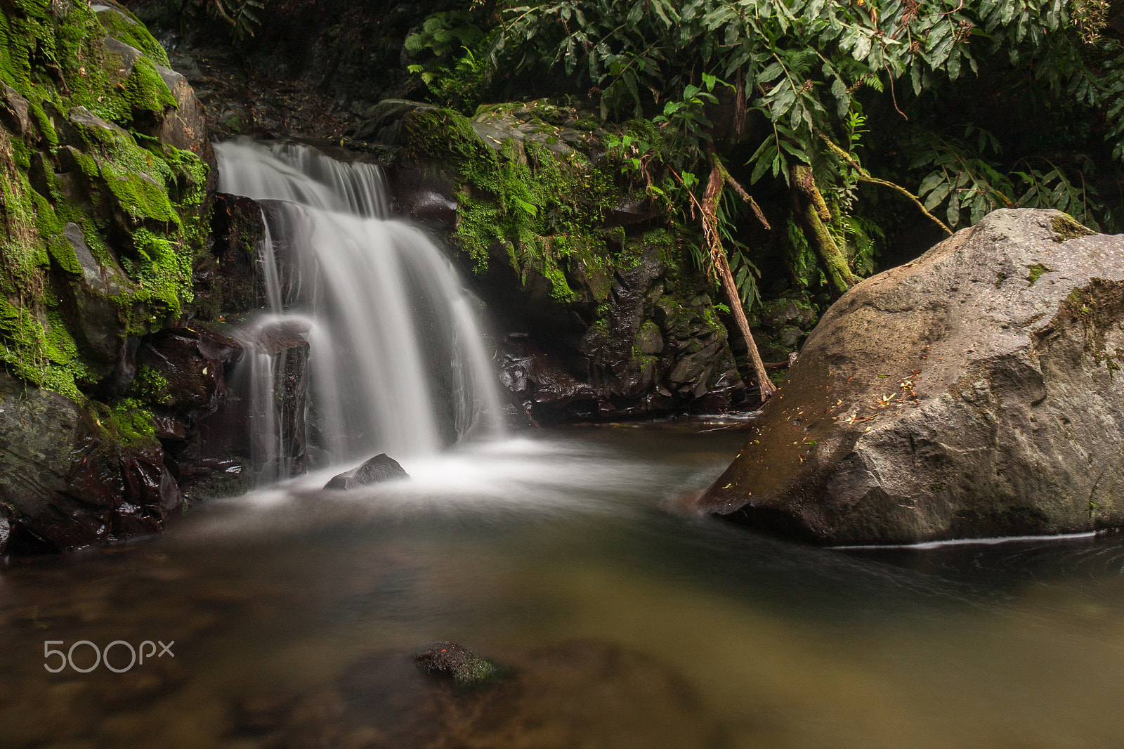 Sigma 18-50mm F2.8-4.5 DC OS HSM sample photo. Magical photography