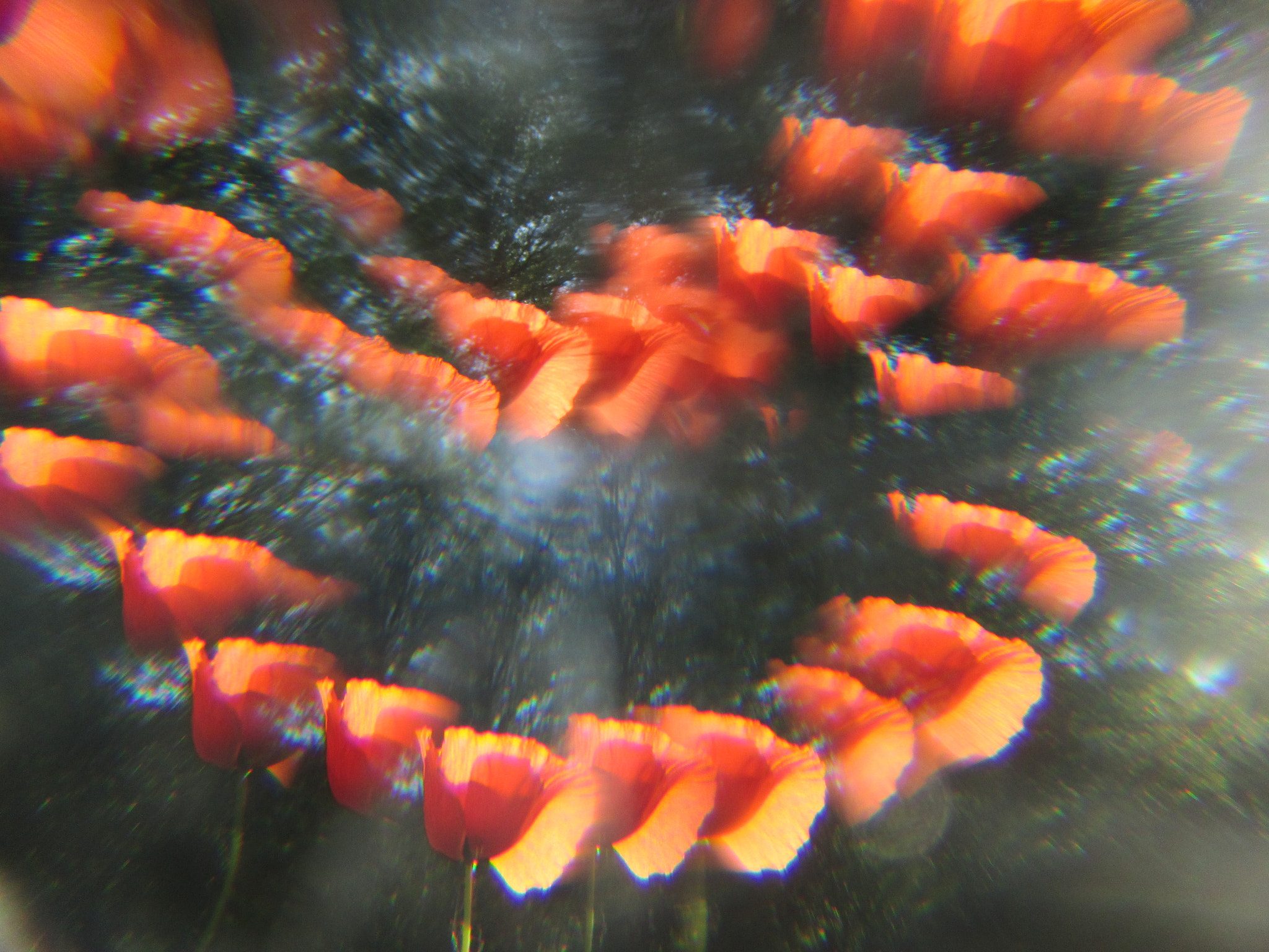 Canon PowerShot ELPH 130 IS (IXUS 140 / IXY 110F) sample photo. Watermelon photography