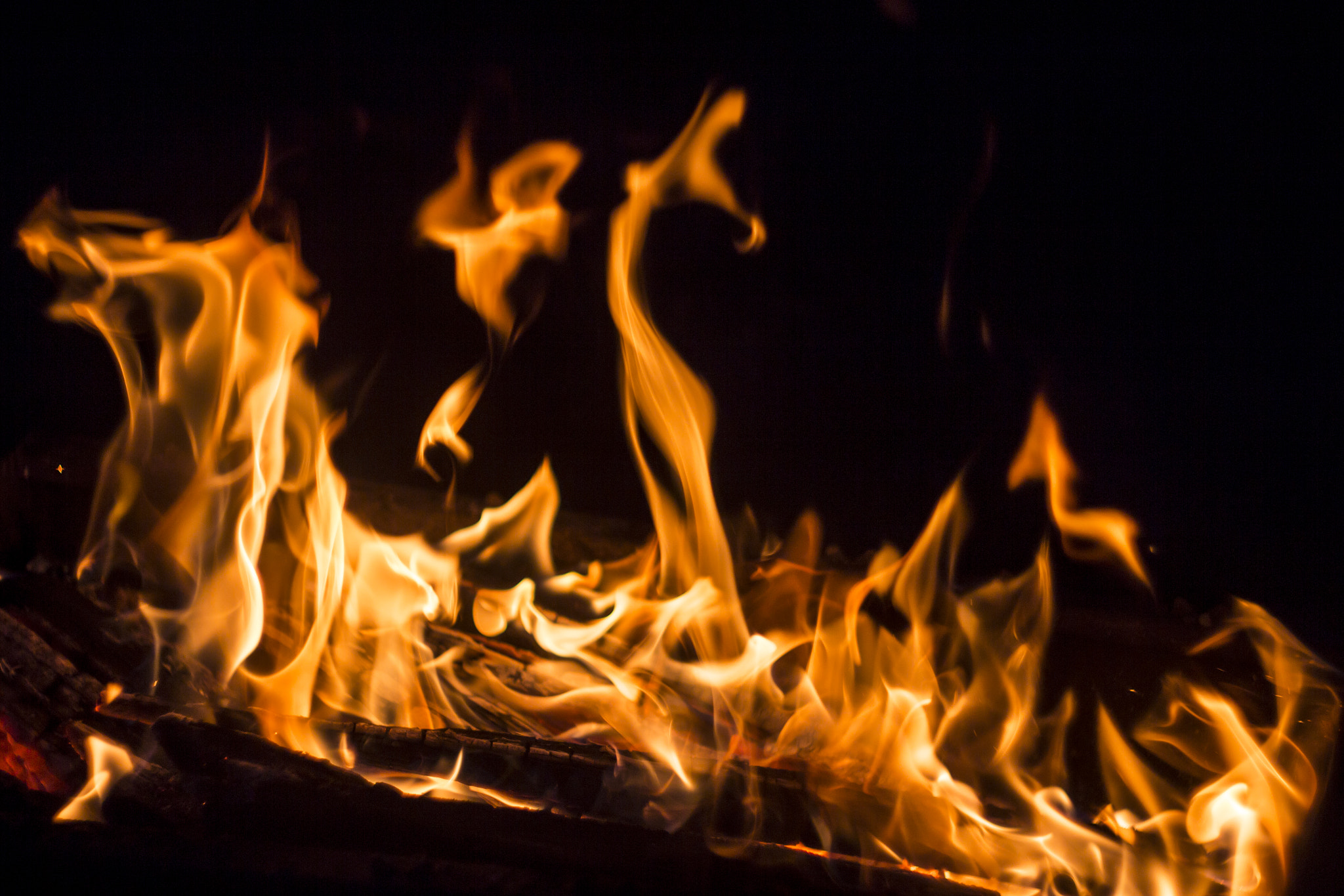 Canon EF 35-80mm f/4-5.6 sample photo. Bbcaforig photography