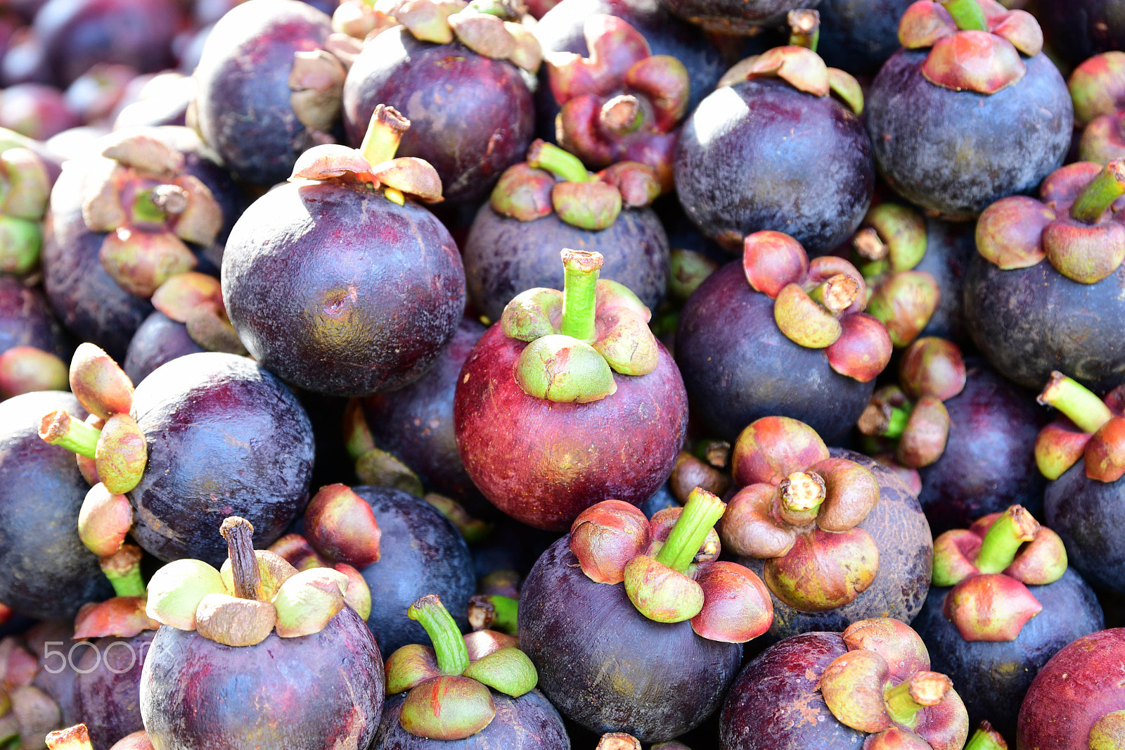 Nikon D500 sample photo. Mangosteen photography