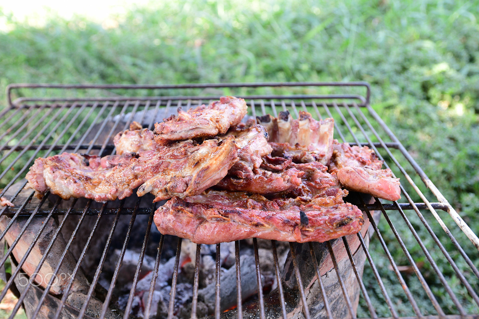 Nikon D500 sample photo. Pork rips grilled photography