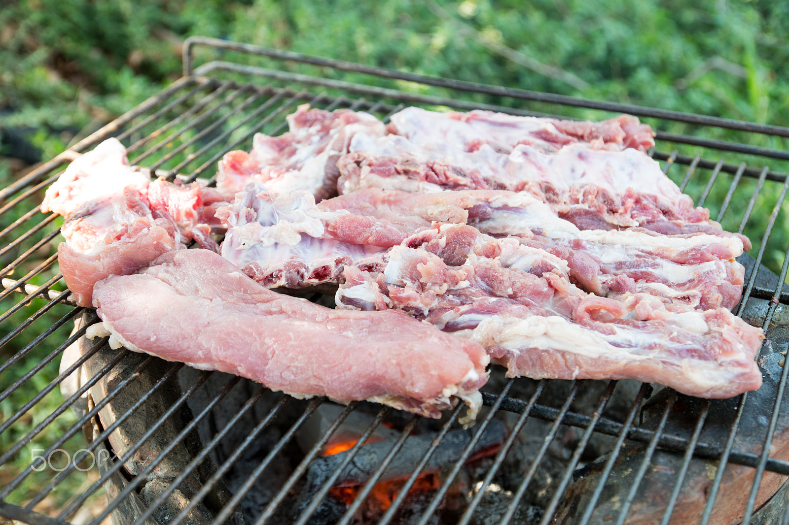 Nikon D500 sample photo. Pork rips grilled photography