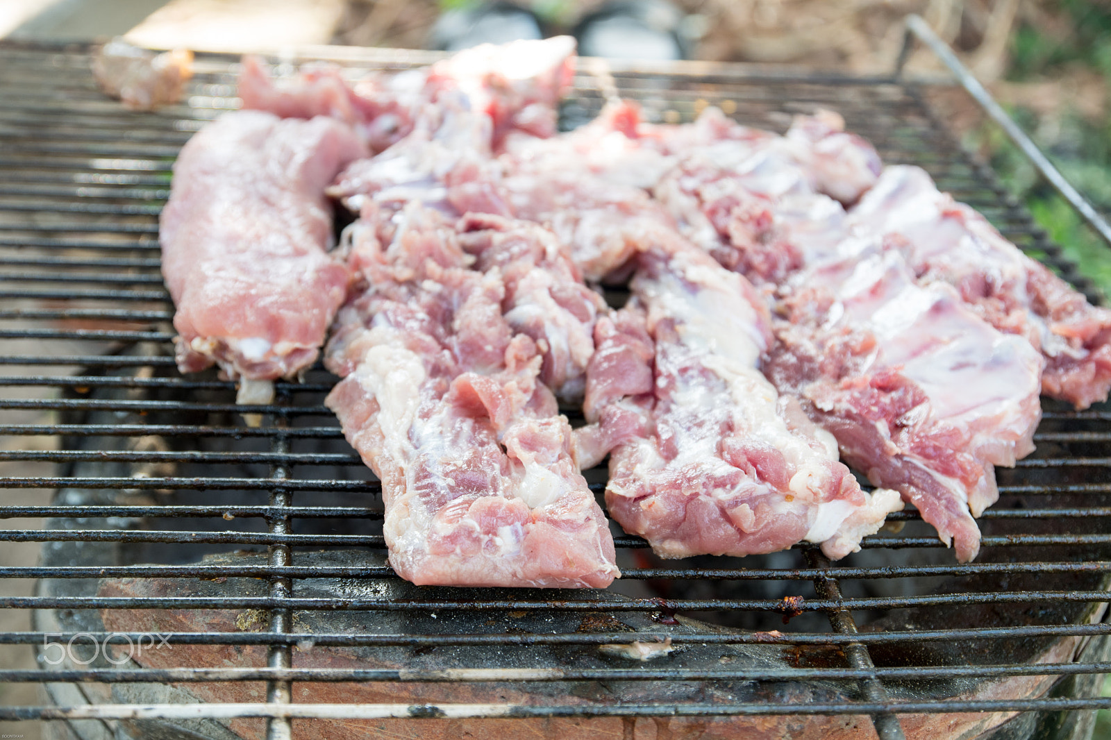 Nikon D500 sample photo. Pork rips grilled photography