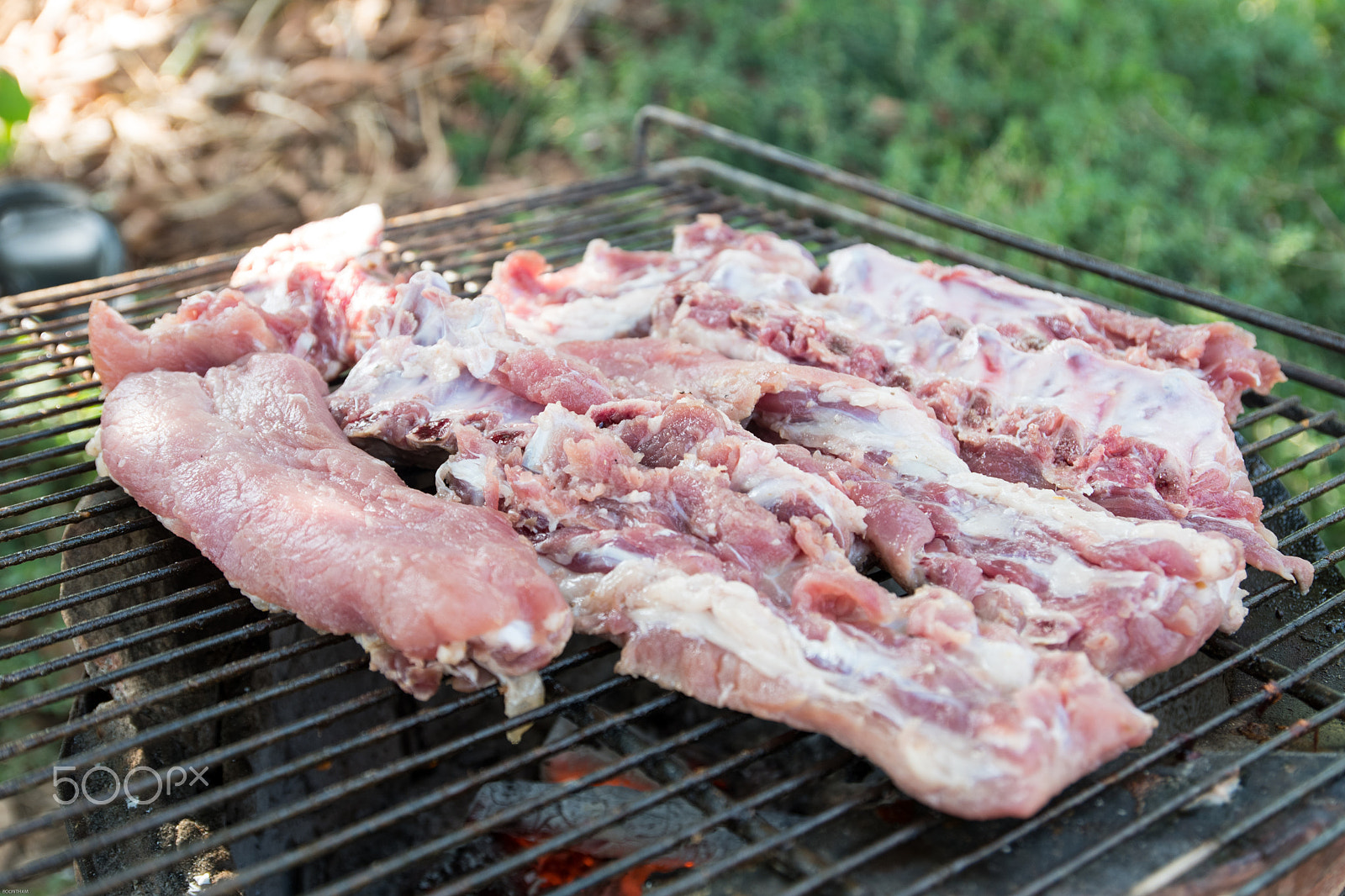 Nikon D500 sample photo. Pork rips grilled photography