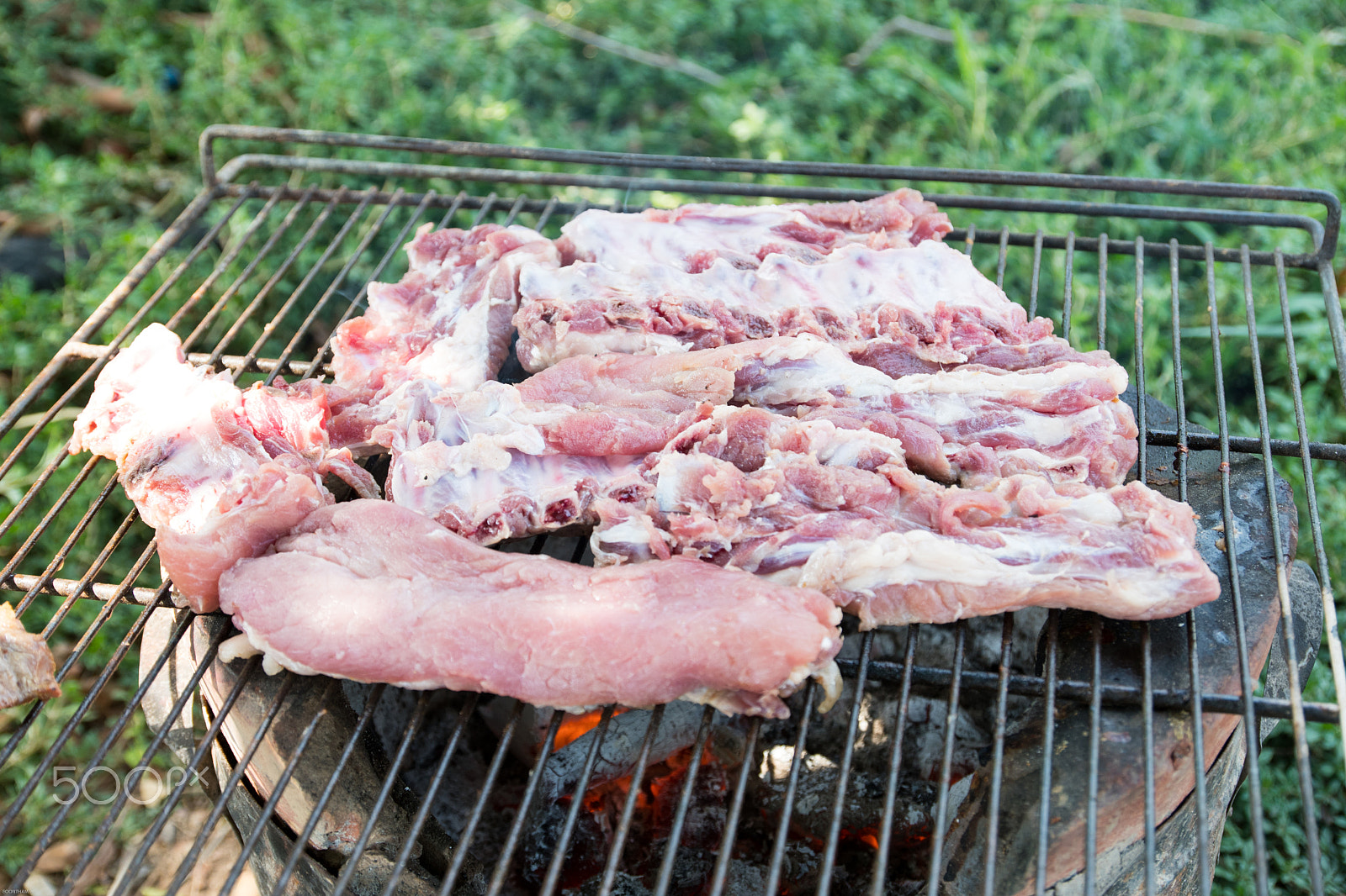 Nikon D500 sample photo. Pork rips grilled photography