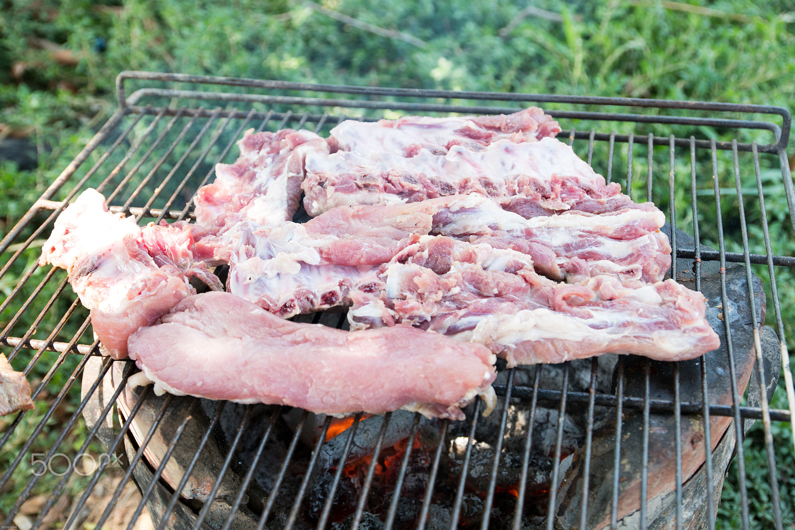 Nikon D500 sample photo. Pork rips grilled photography