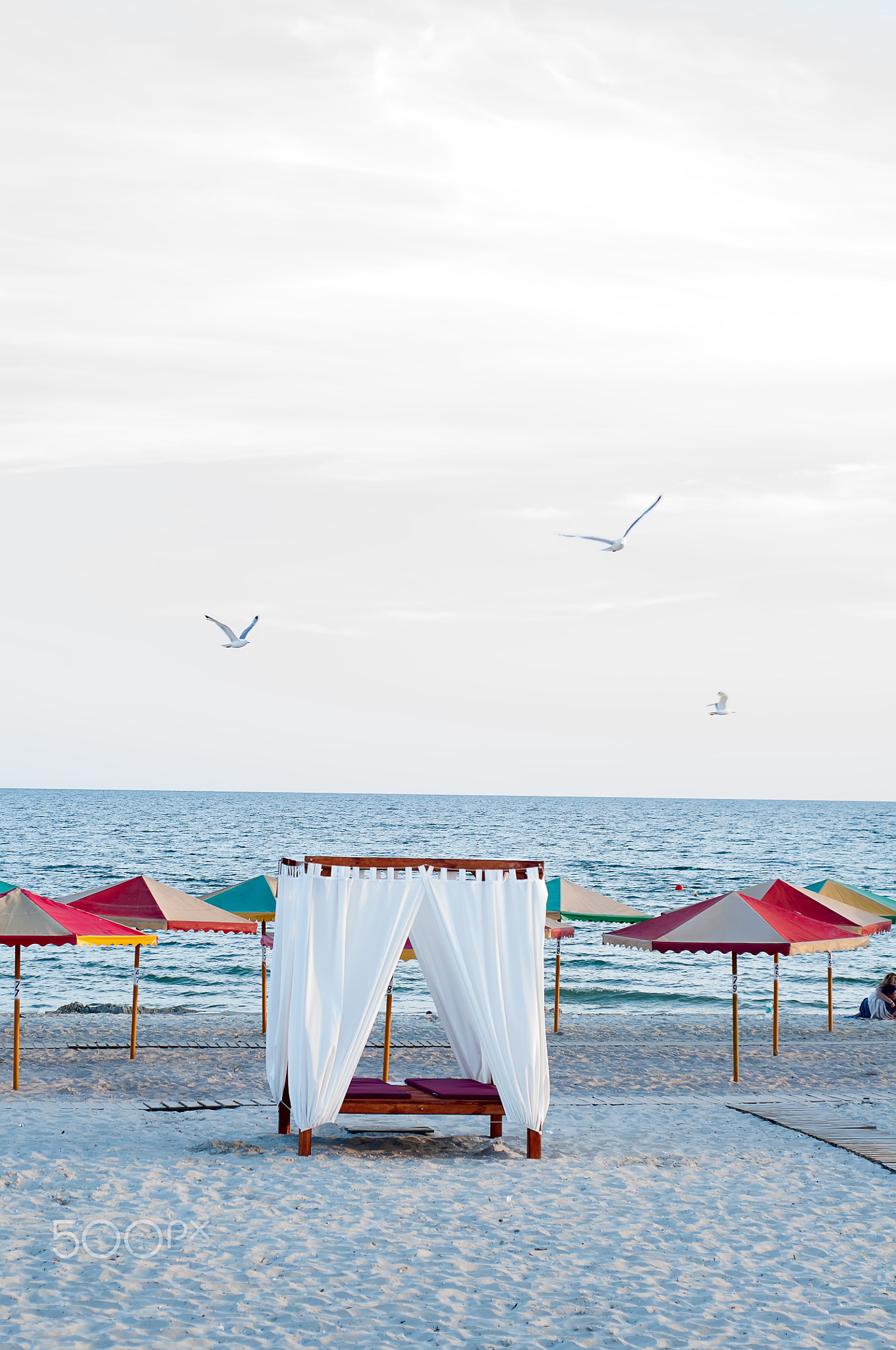 Canopies with a white cloth