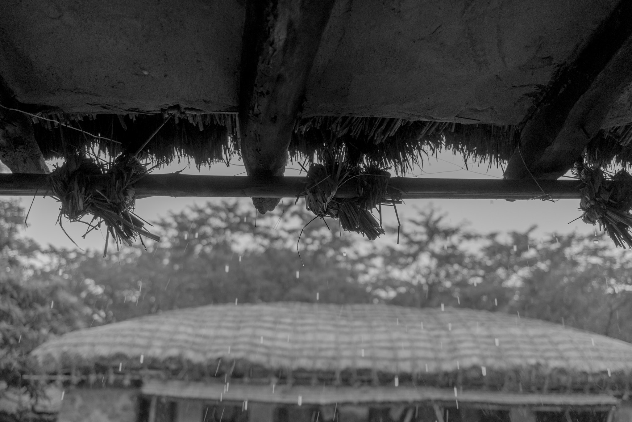 Canon EF-S 24mm F2.8 STM sample photo. Rainy day photography