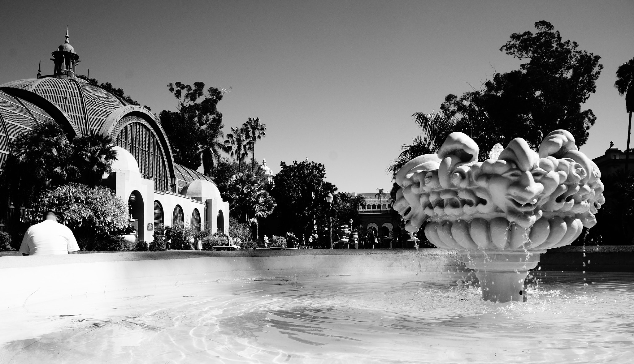 Sony Alpha NEX-F3 + Tamron 18-200mm F3.5-6.3 Di III VC sample photo. Botanical garden, balboa park photography