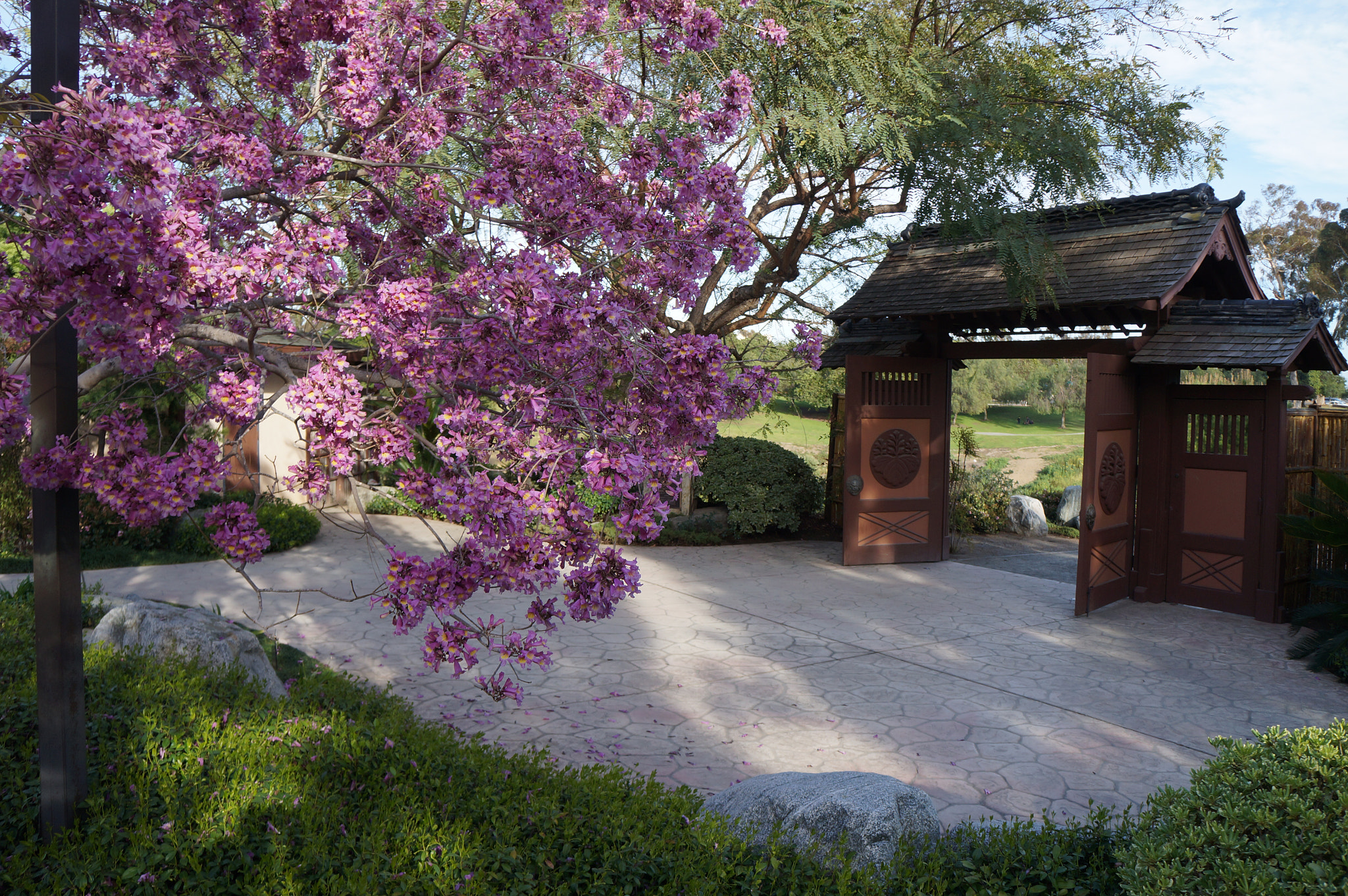 Sony Alpha NEX-F3 + Tamron 18-200mm F3.5-6.3 Di III VC sample photo. Japanese friendship garden photography