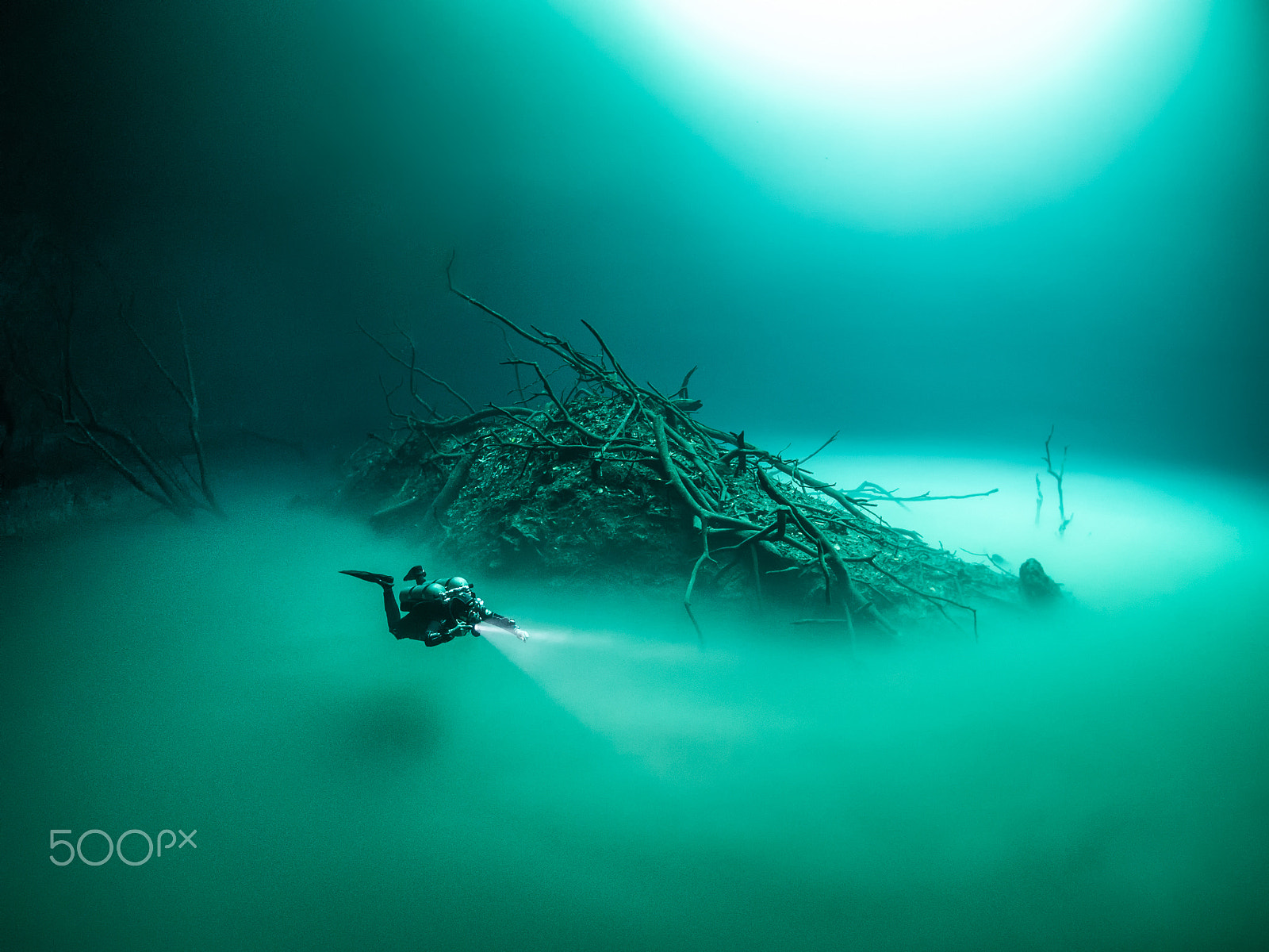 OLYMPUS M.8mm F1.8 sample photo. Cenote angelita photography