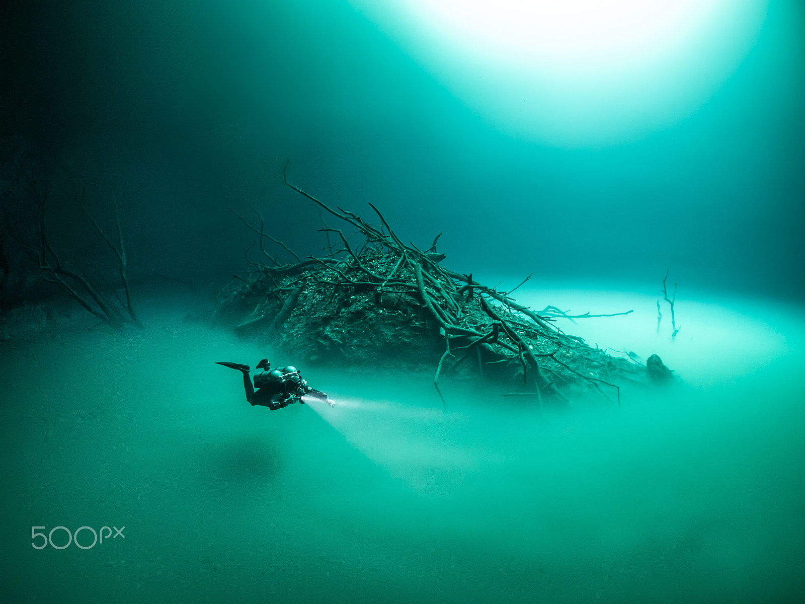 Olympus OM-D E-M5 + OLYMPUS M.8mm F1.8 sample photo. Cenote angelita photography