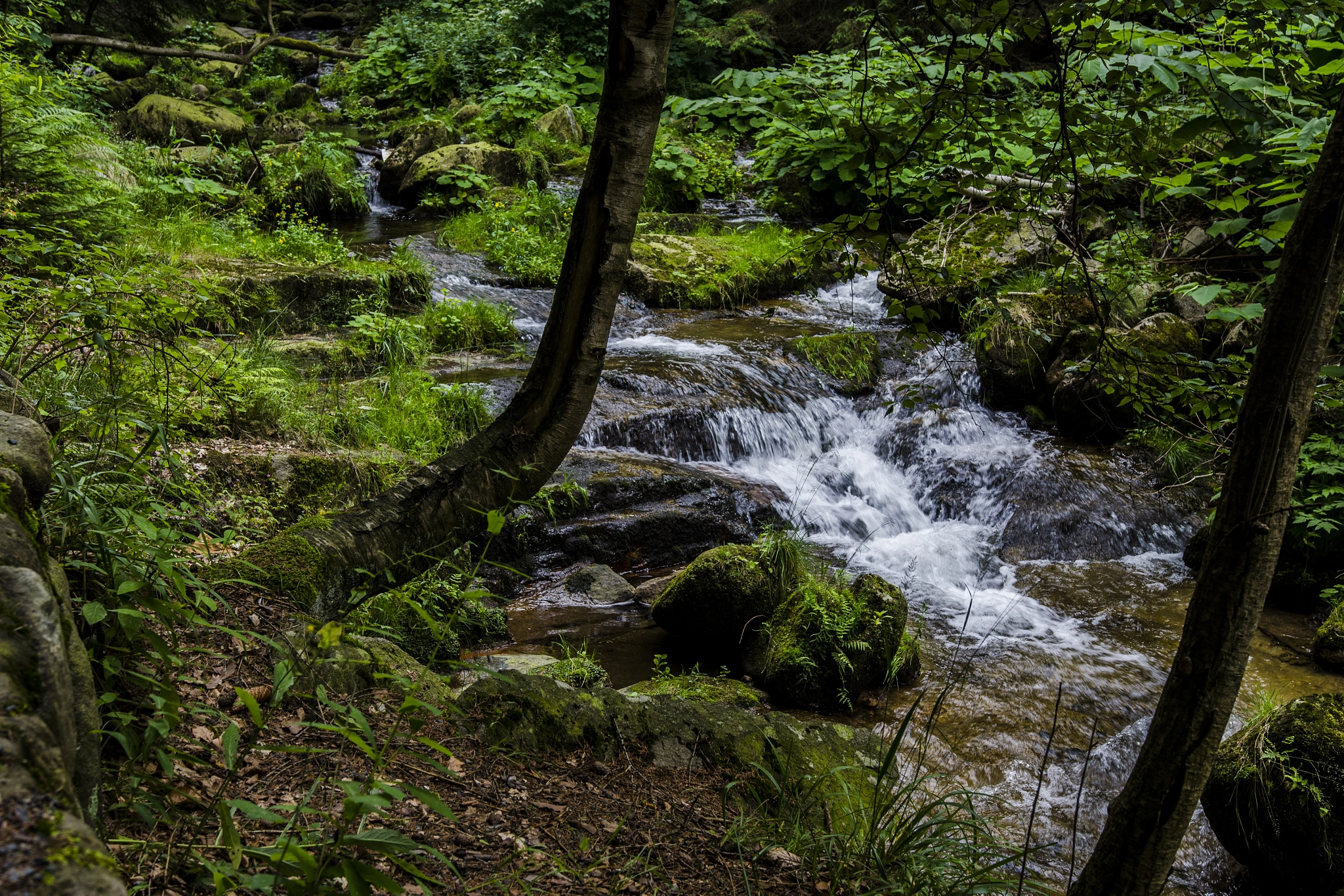 Nikon D5100 + Sigma 18-35mm F1.8 DC HSM Art sample photo. River photography