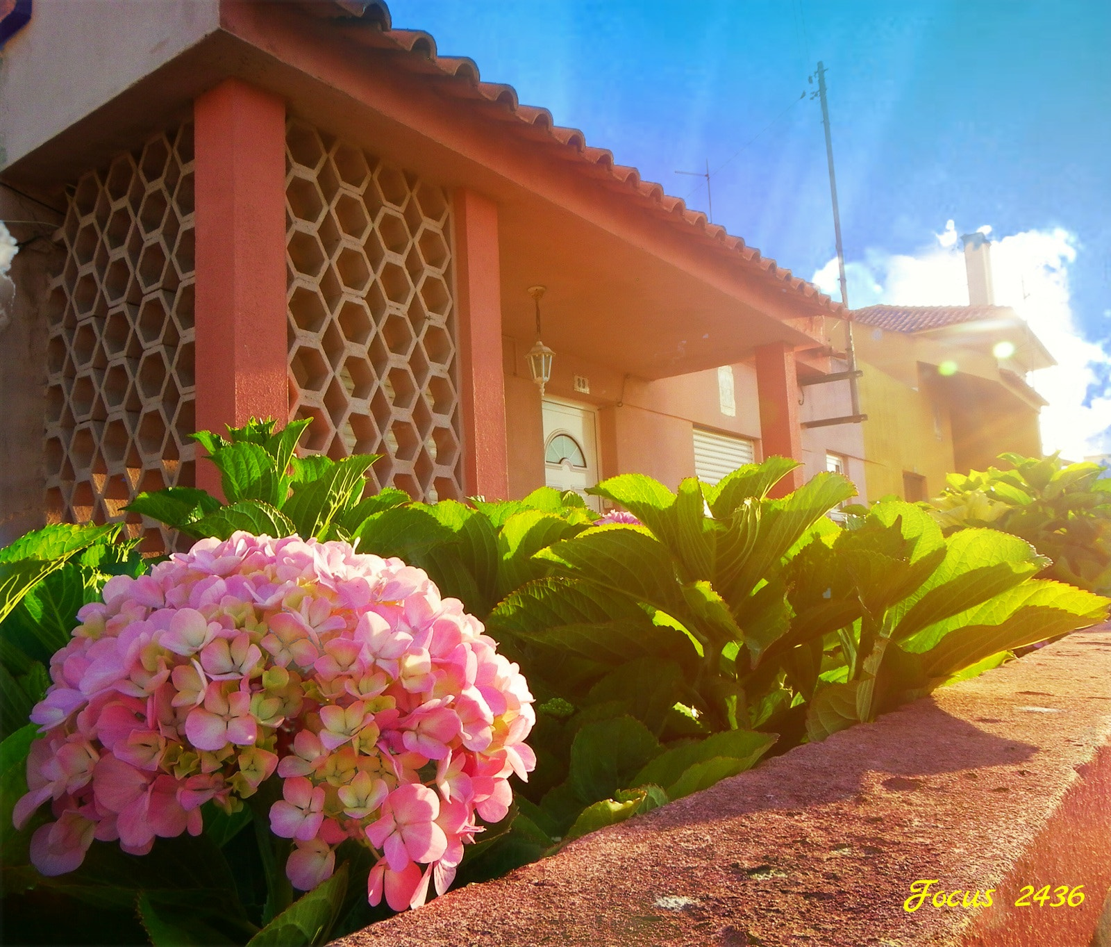 Pentax X90 sample photo. Village coloré, maison fleurie, made in portugal photography