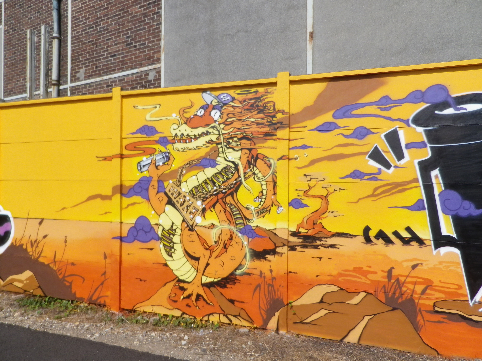 Pentax Optio RZ18 sample photo. Graff...dragon photography