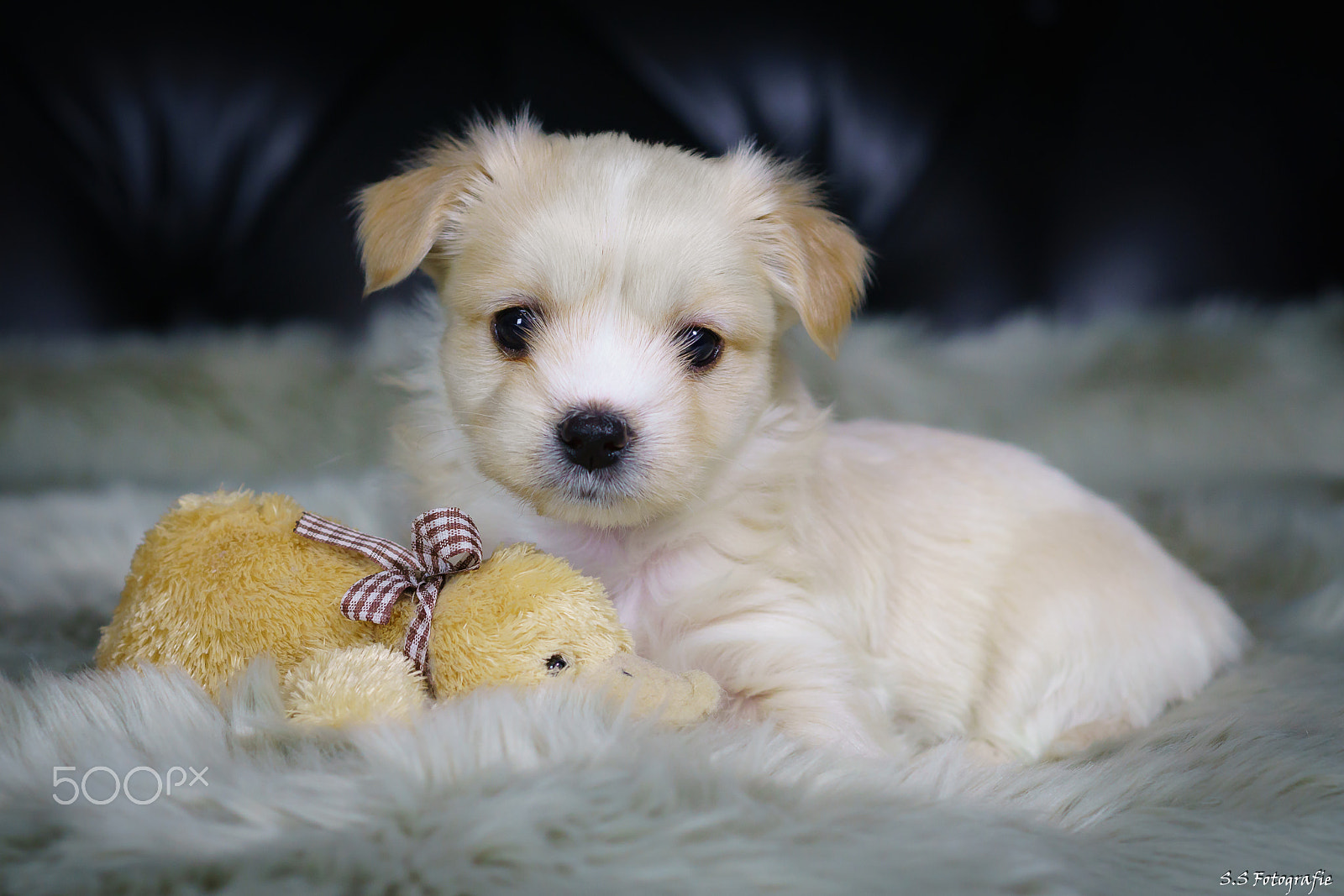 Sony ILCA-77M2 + Sony 50mm F2.8 Macro sample photo. Sweet littel girl :) !!!! photography