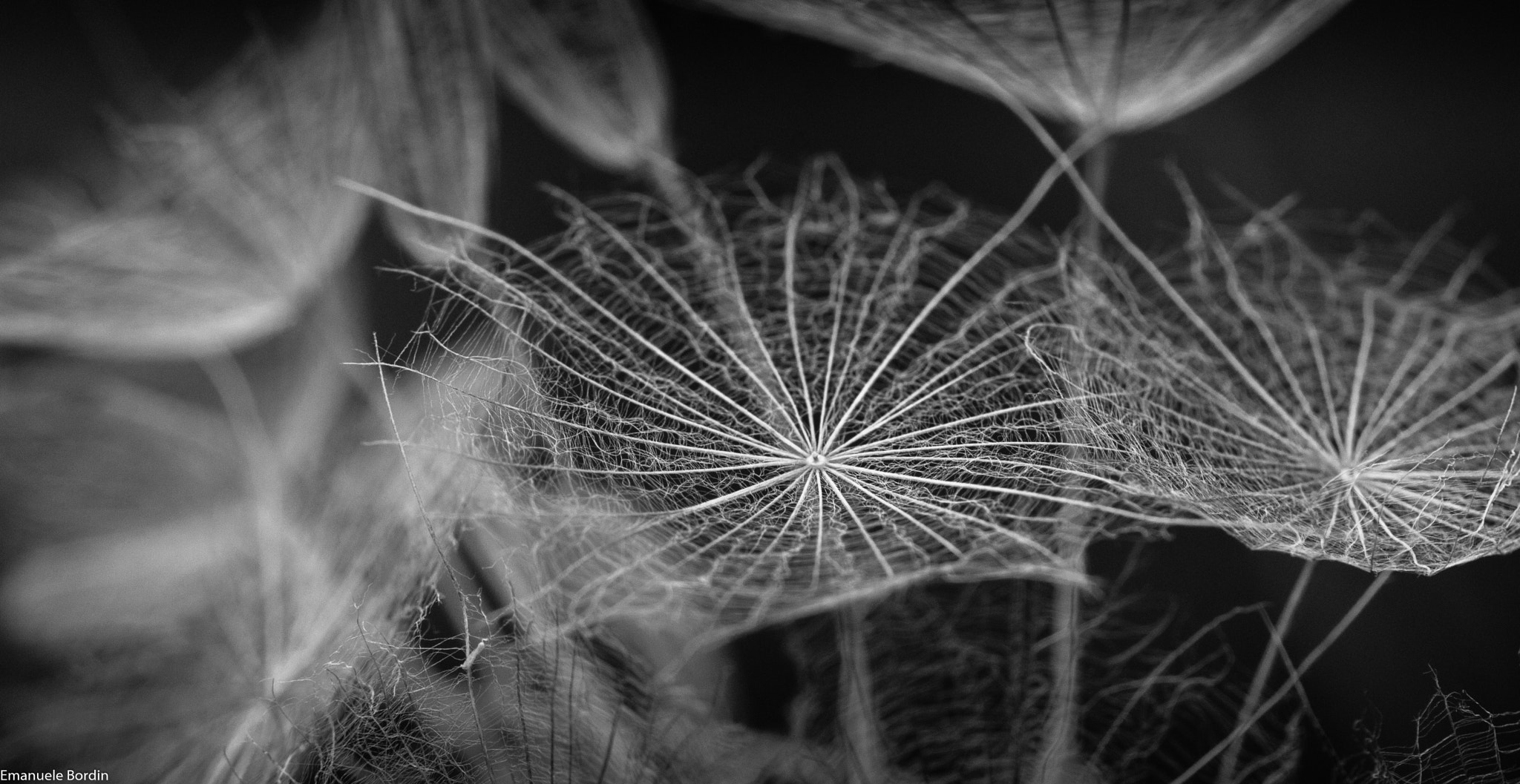 Tamron SP AF 180mm F3.5 Di LD (IF) Macro sample photo. Mt. palon photography