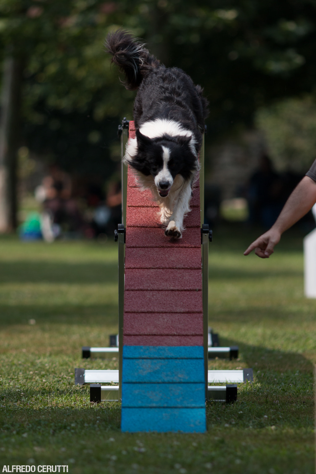 Canon EOS 70D + Canon EF 200mm F2.8L II USM sample photo. Follow the line photography