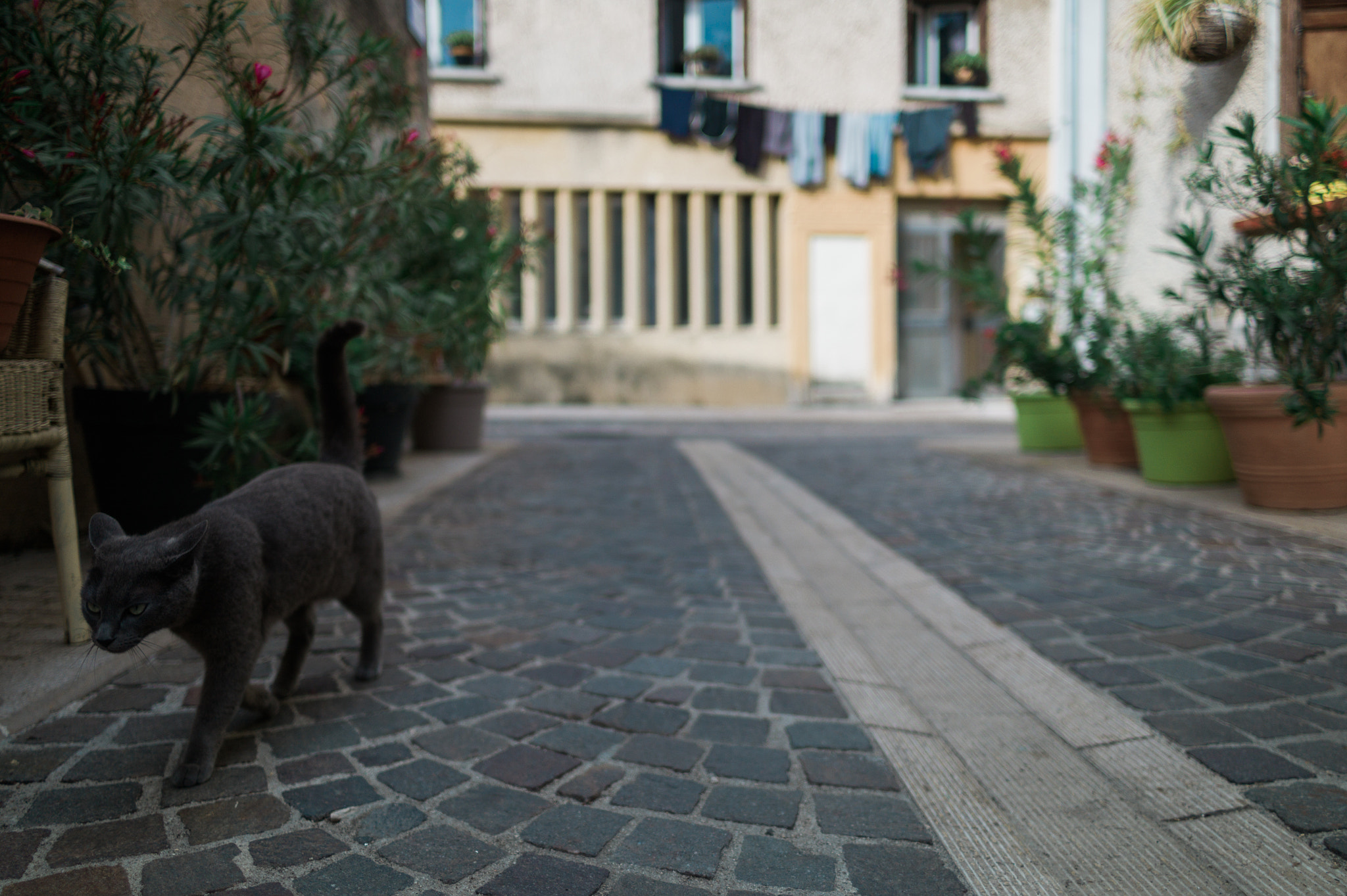Leica M9 + Leica Summilux-M 24mm F1.4 ASPH sample photo. Just leave me alone. photography