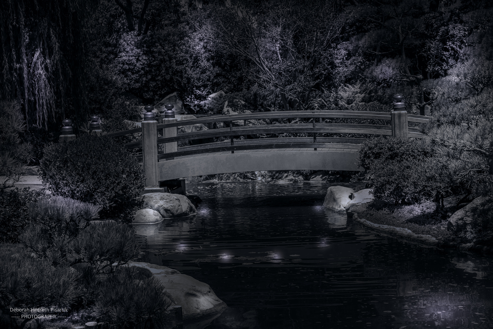 Sony a6300 sample photo. Earl burns miller japanese garden bridge at night photography