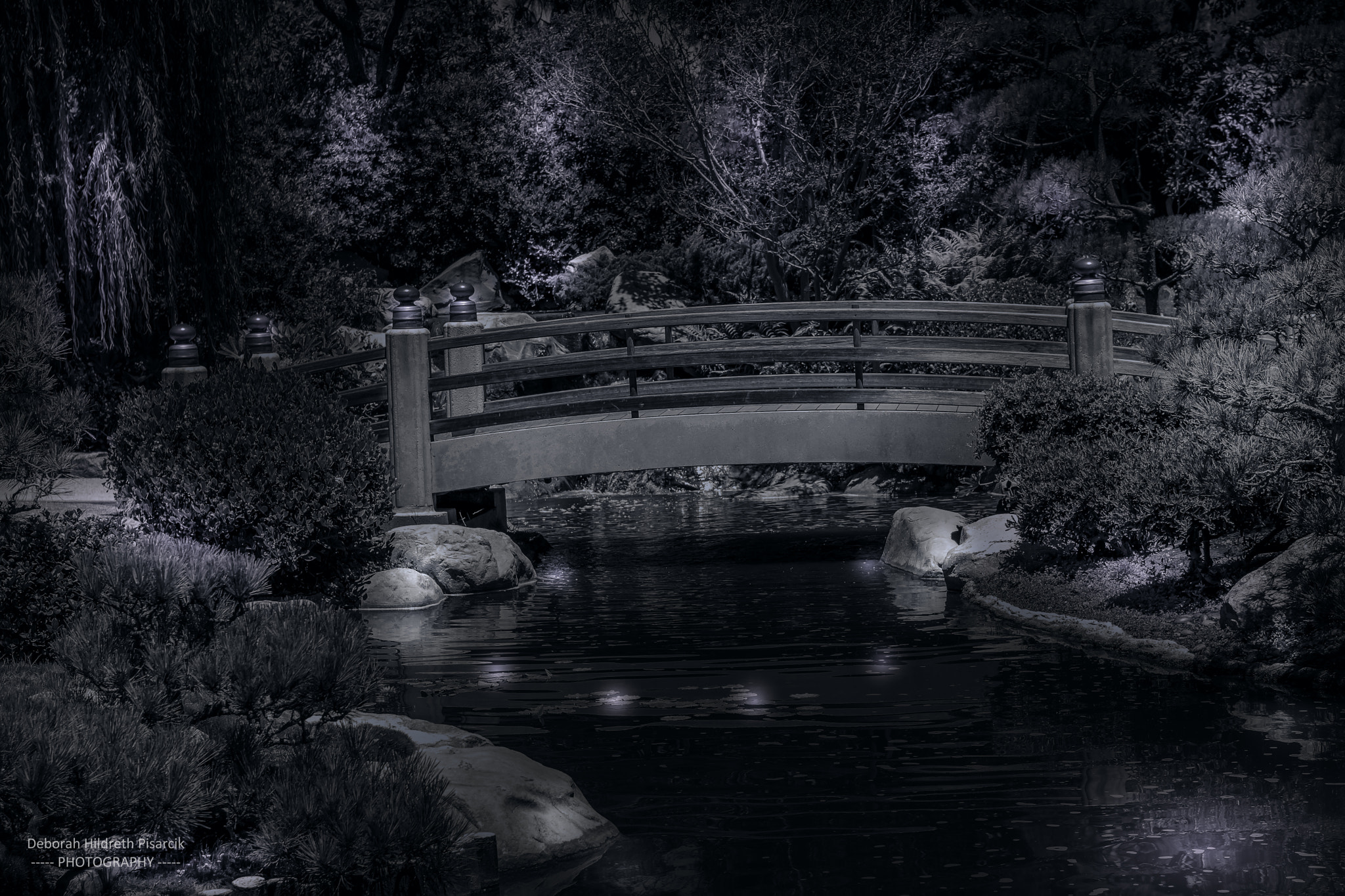 Sony a6300 + Sony Sonnar T* FE 55mm F1.8 ZA sample photo. Earl burns miller japanese garden bridge at night photography