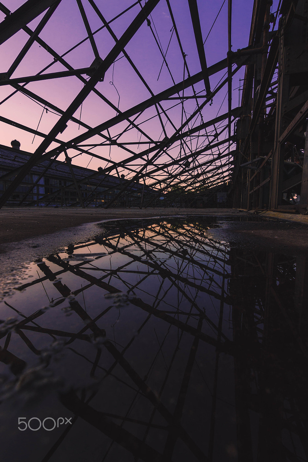 Nikon D3100 sample photo. A reflection. photography