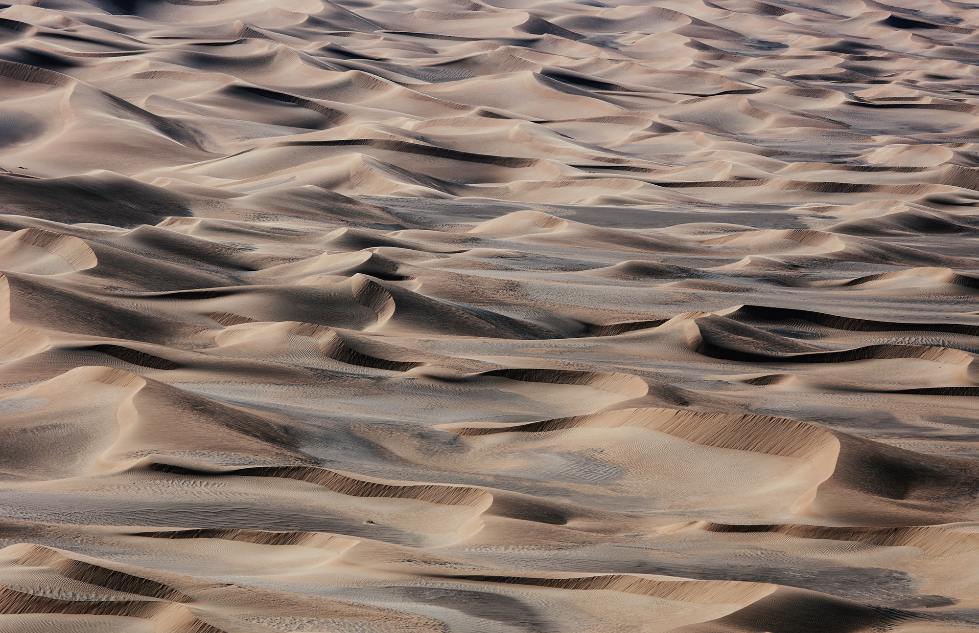 Canon EOS 5DS R + Canon EF 100-400mm F4.5-5.6L IS USM sample photo. Empty quarter photography