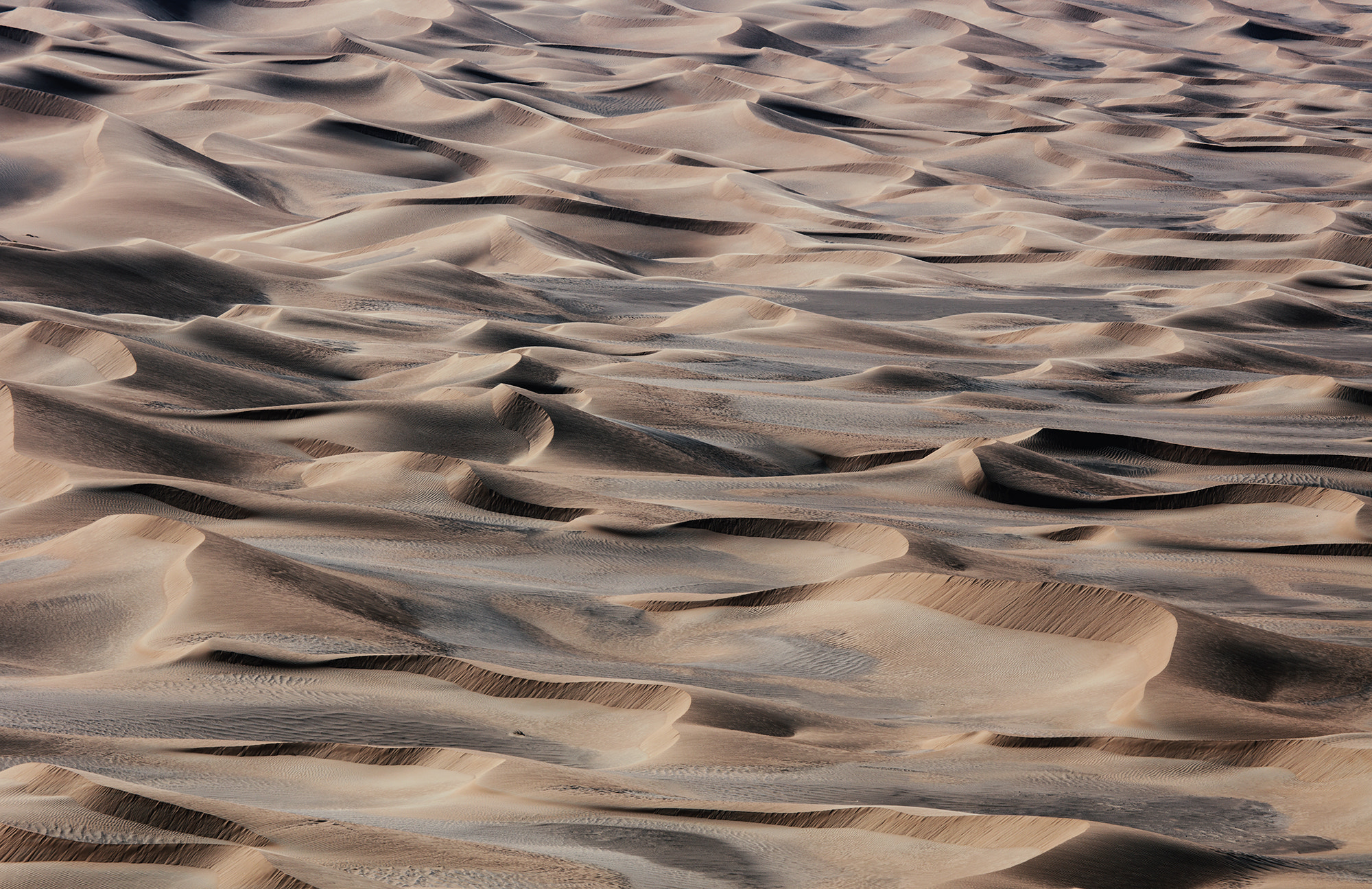 Canon EF 100-400mm F4.5-5.6L IS USM sample photo. Empty quarter photography
