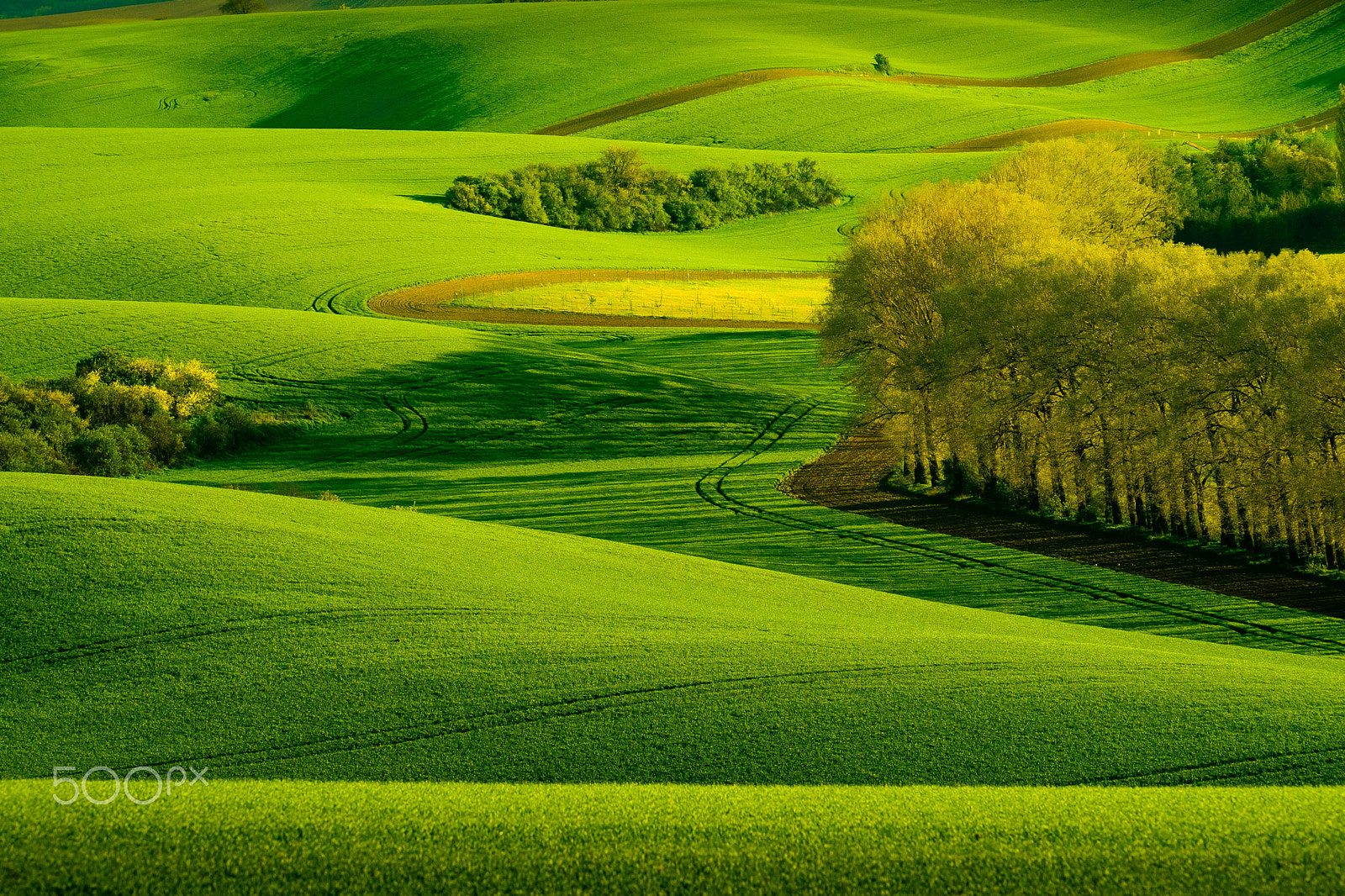 Fujifilm XF 100-400mm F4.5-5.6 R LM OIS WR sample photo. Green wavy hills in south moravia photography