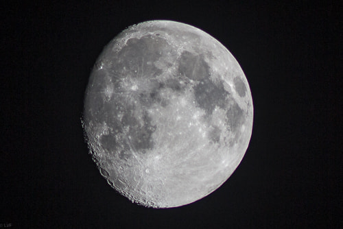 Canon EOS 600D (Rebel EOS T3i / EOS Kiss X5) + Canon EF 400mm f/2.8L sample photo. Luna, lunera cascabelera... photography