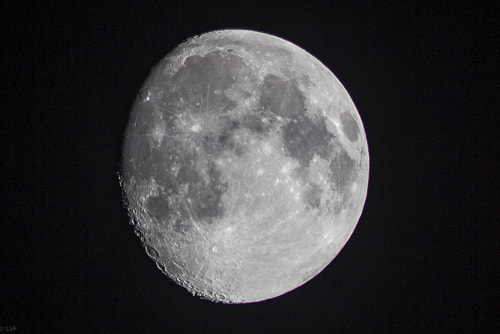 Canon EOS 600D (Rebel EOS T3i / EOS Kiss X5) + Canon EF 400mm f/2.8L sample photo. Luna, lunera cascabelera... photography