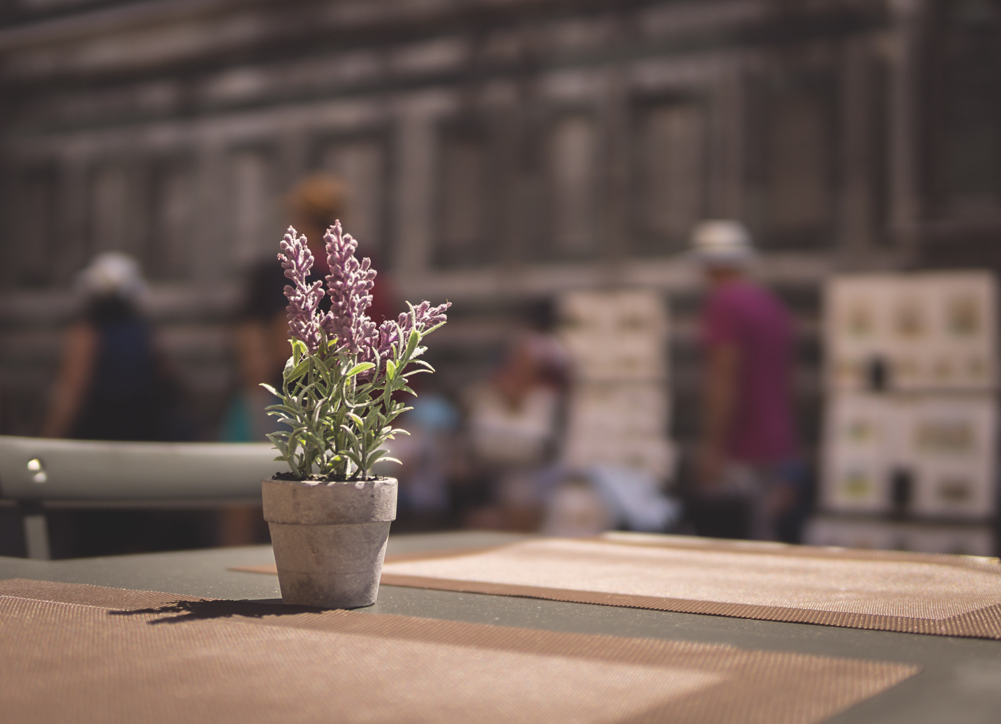 Sony a6000 + E 30mm F1.4 sample photo. Fiore di firenze photography