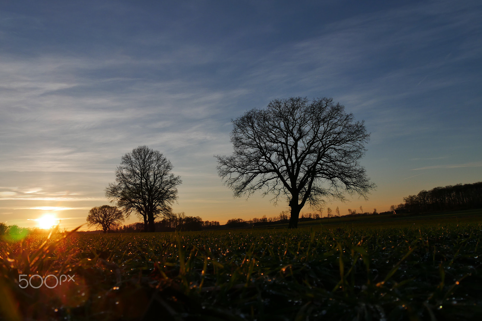 Panasonic DMC-G70 sample photo. Sunrise in early spring photography