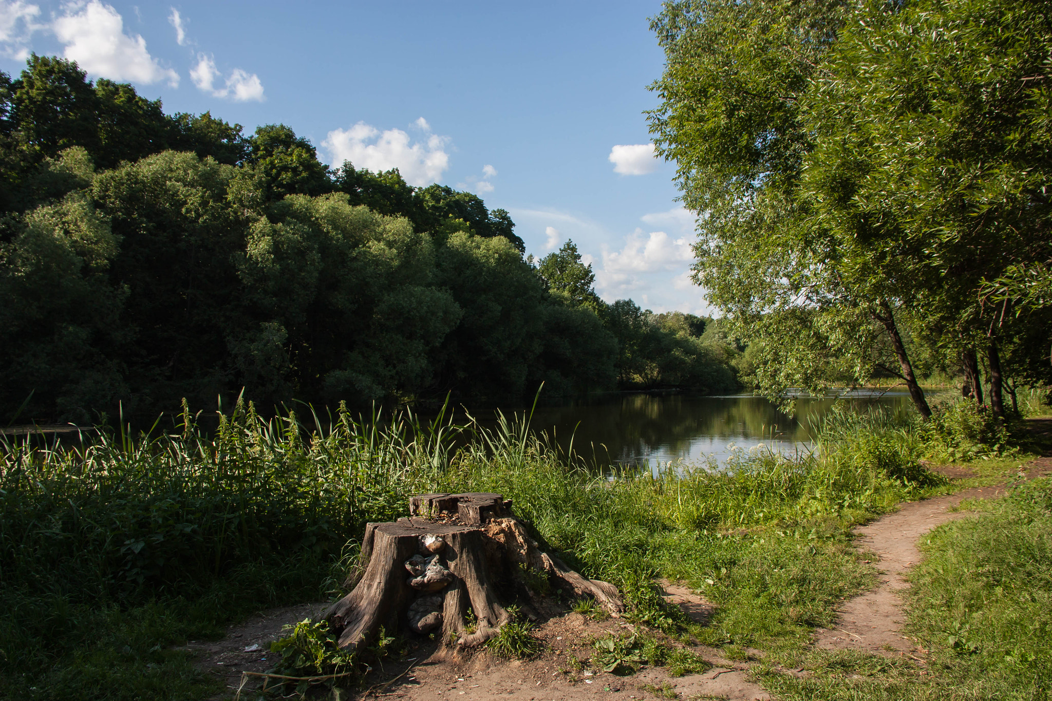 Sigma 18-125mm F3.8-5.6 DC OS HSM sample photo. Some summer day photography