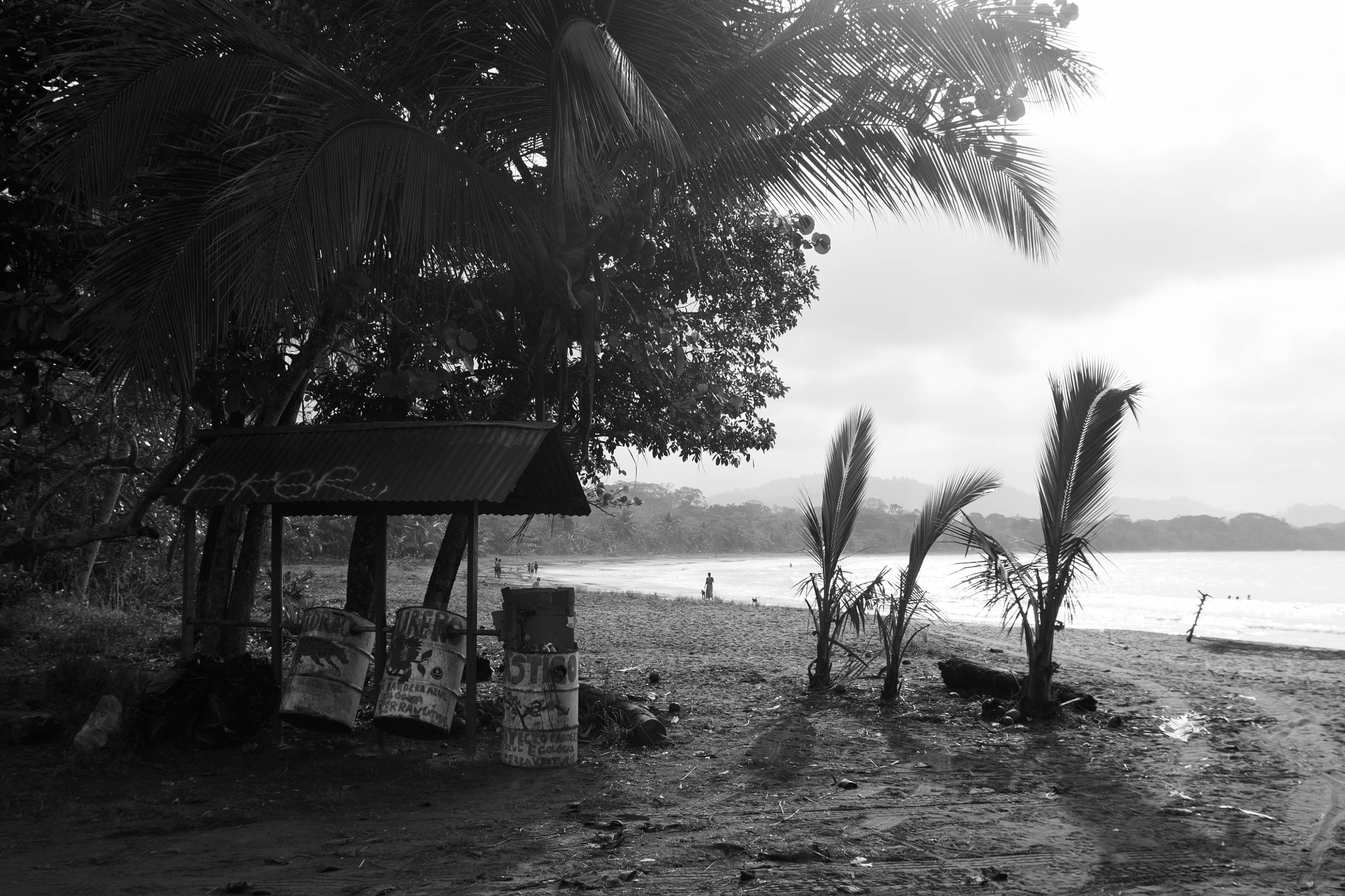 Tamron SP AF 17-50mm F2.8 XR Di II LD Aspherical (IF) sample photo. Puerto viejo de talamanca, limon costa rica photography