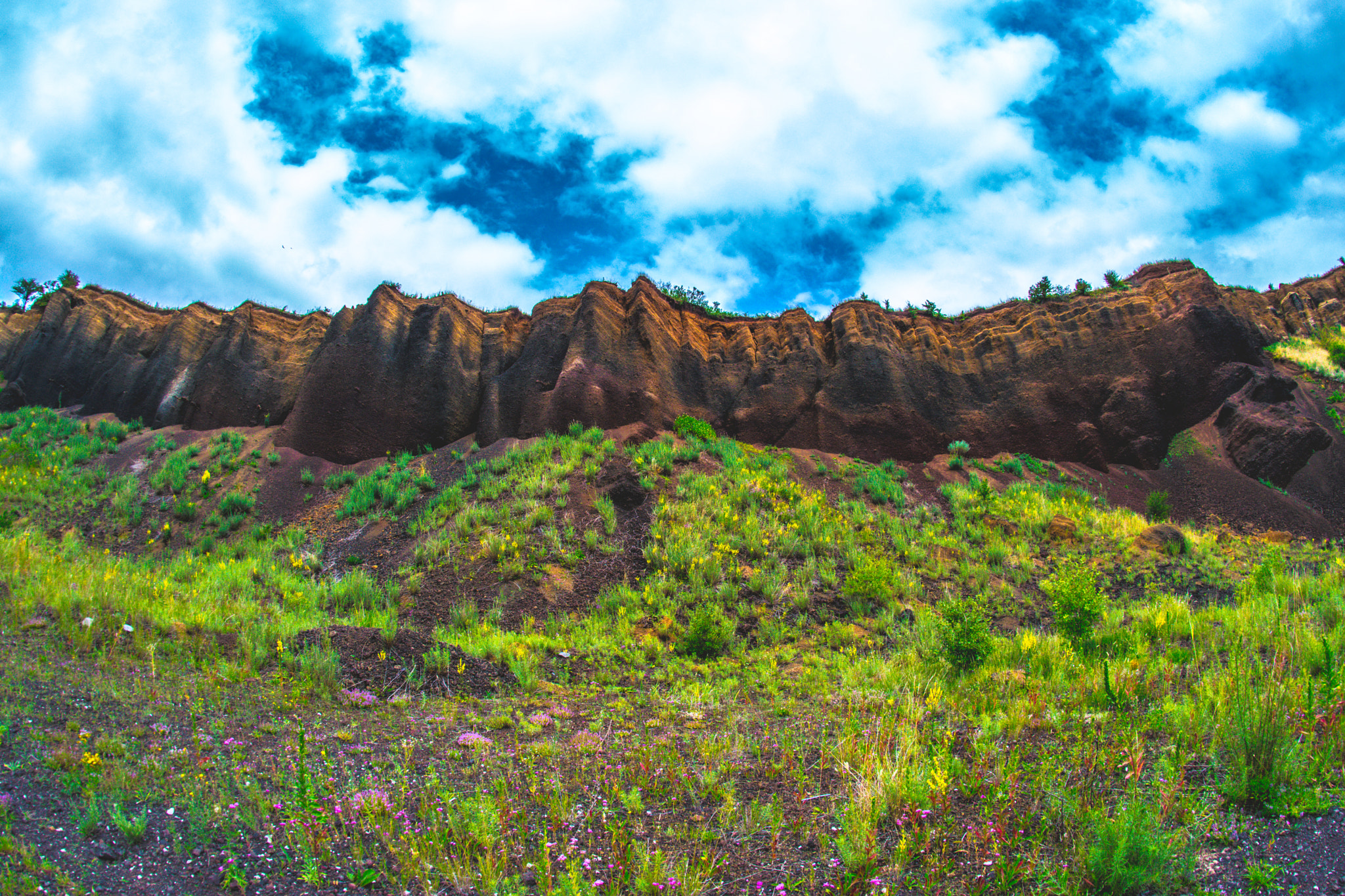 Nikon D5300 + Samyang 8mm F3.5 Aspherical IF MC Fisheye sample photo. Into the wild photography