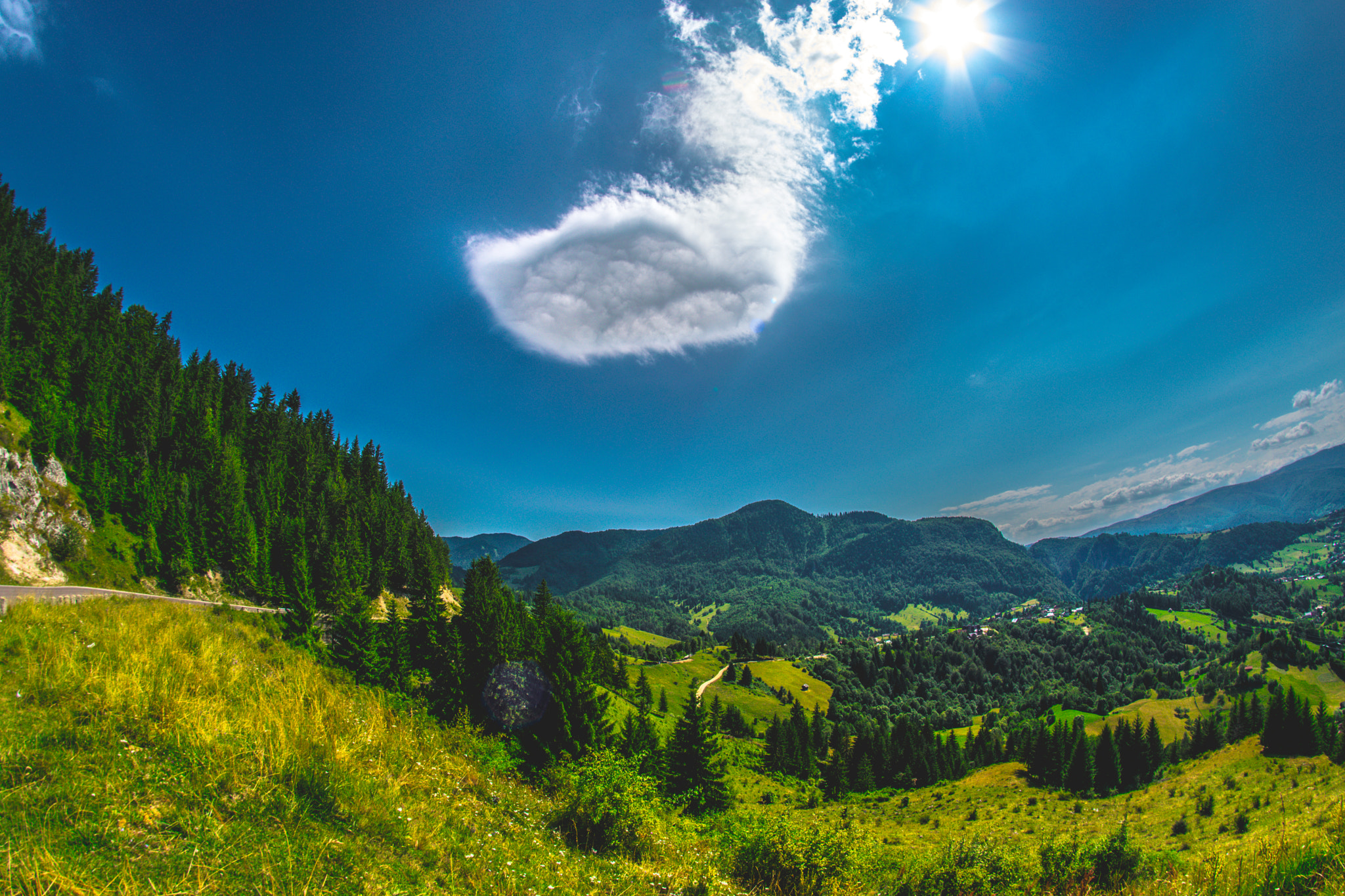 Nikon D5300 + Samyang 8mm F3.5 Aspherical IF MC Fisheye sample photo. Nature's calling photography