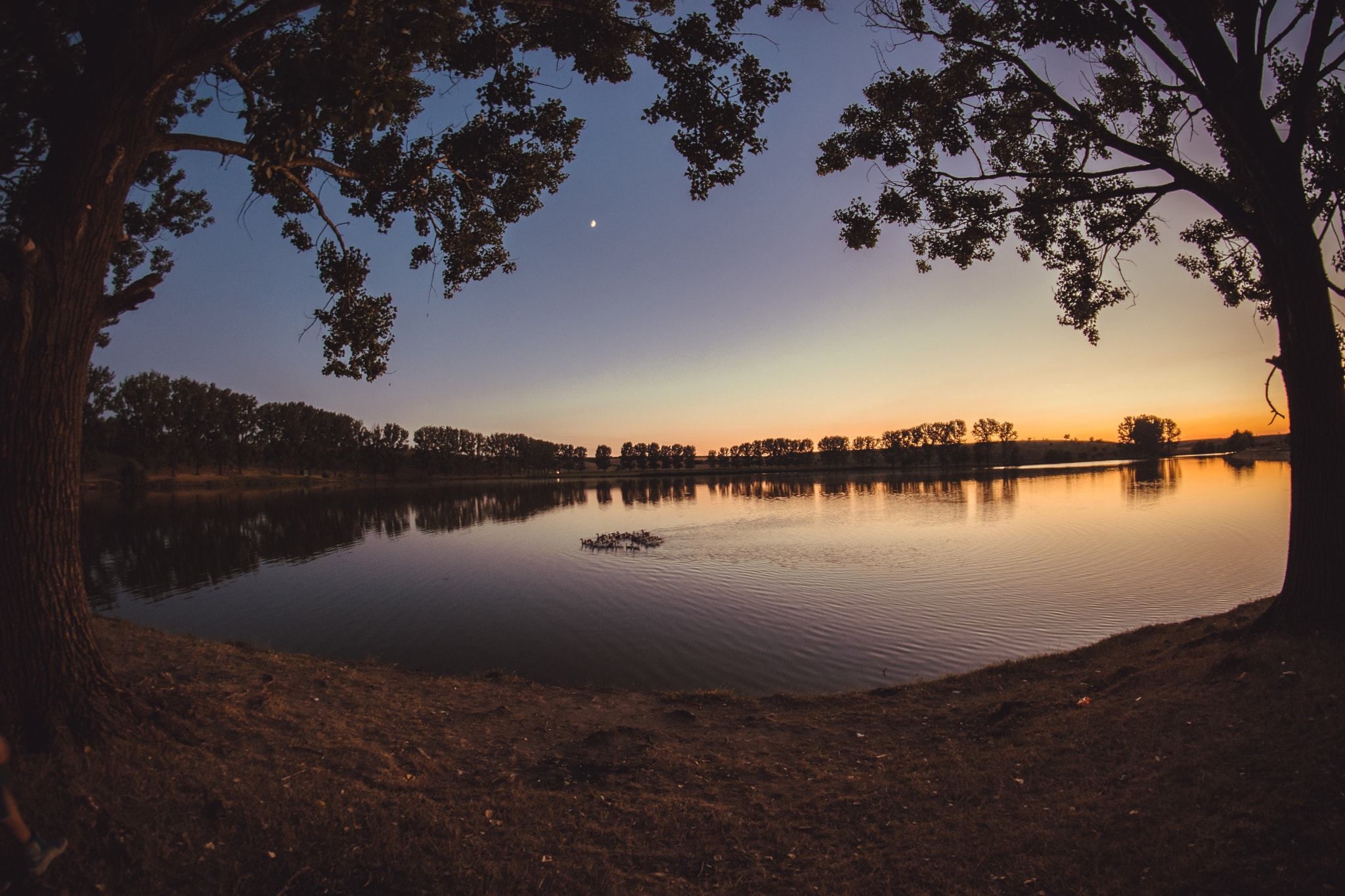 Nikon D5300 + Samyang 8mm F3.5 Aspherical IF MC Fisheye sample photo. Sunset over lake photography