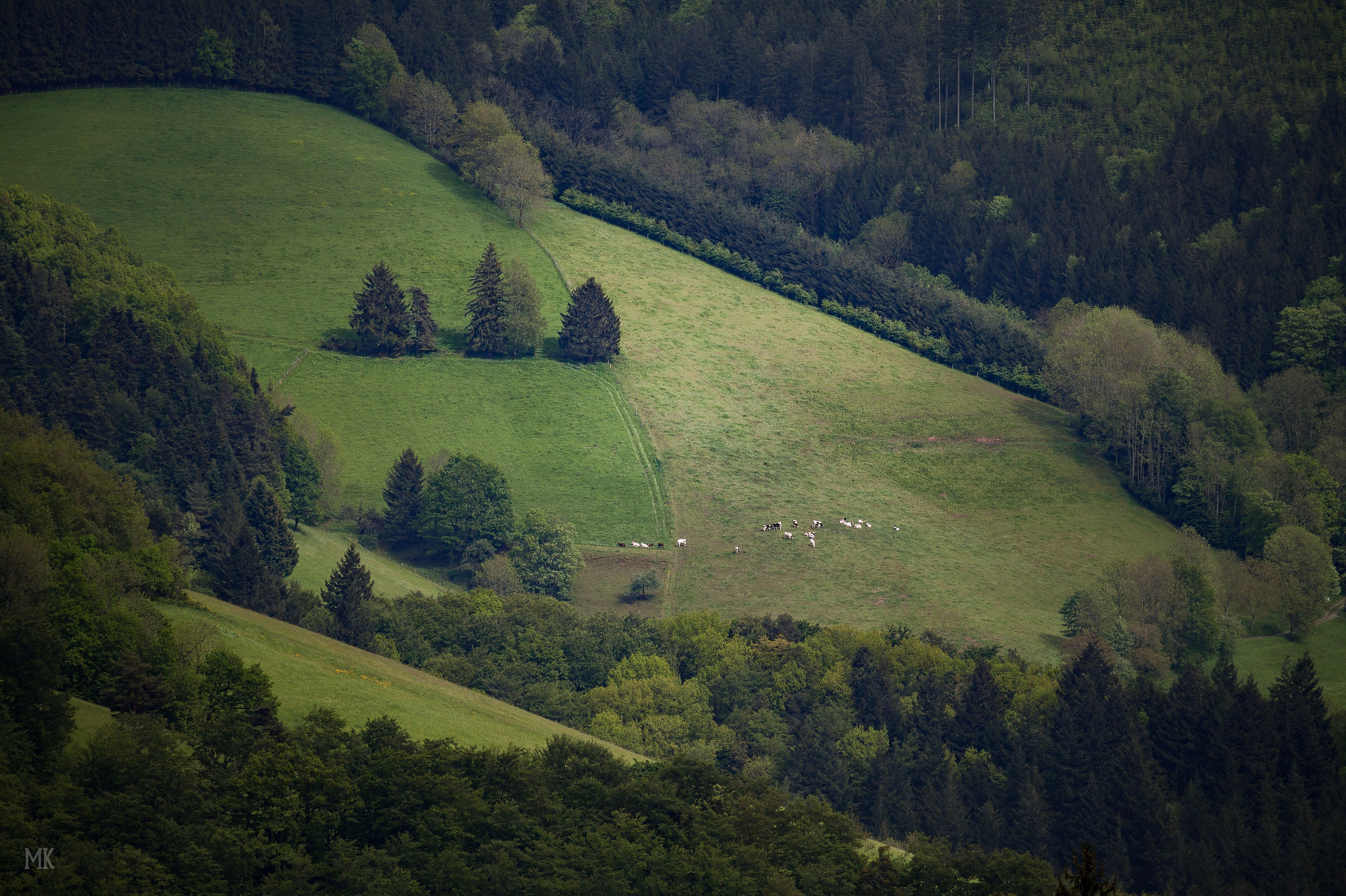 Canon EF-S 55-250mm F4-5.6 IS STM sample photo. Cultural landscape photography