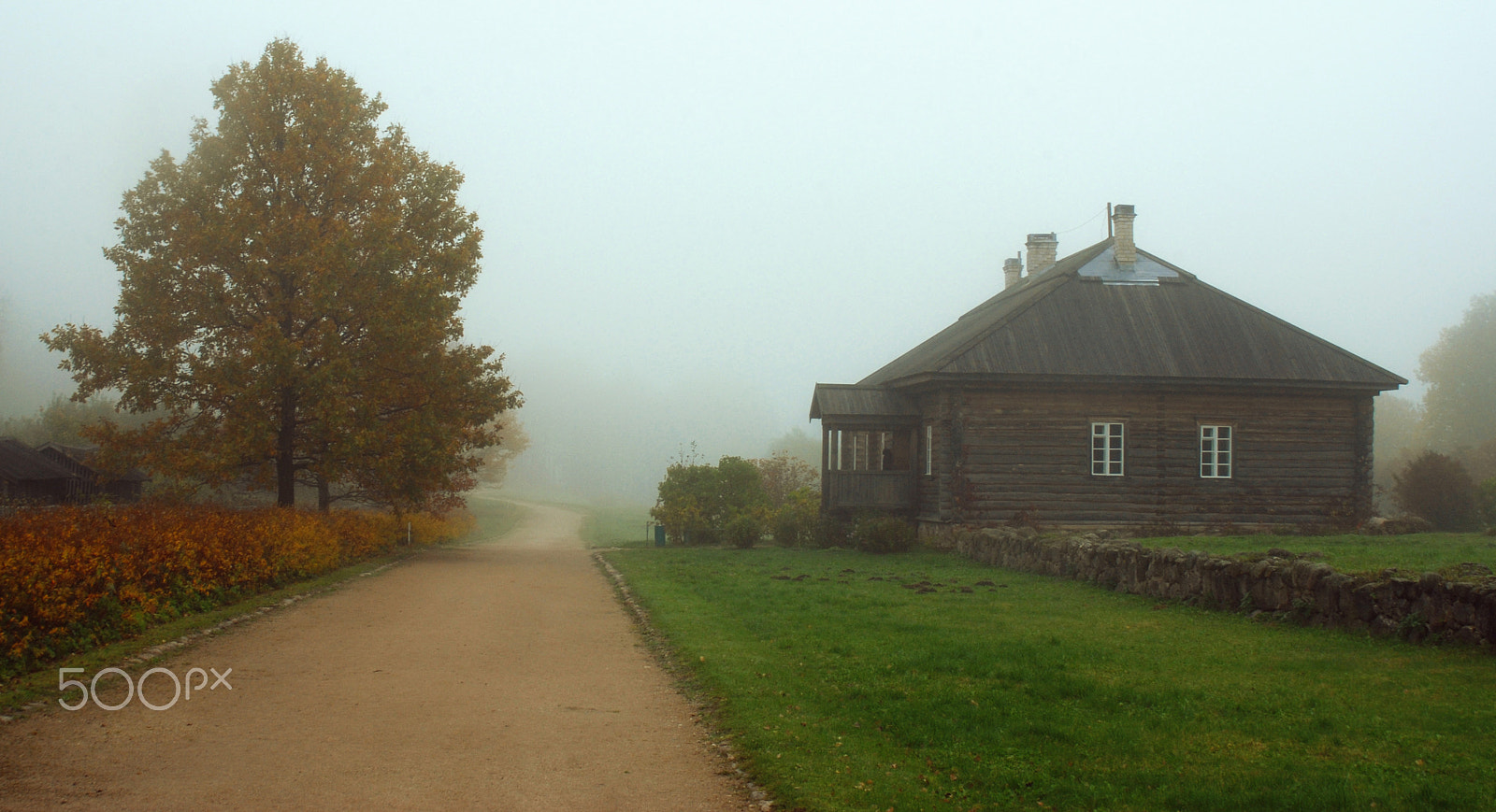 Nikon D80 + AF Zoom-Nikkor 28-105mm f/3.5-4.5D IF sample photo. Autumn fog photography