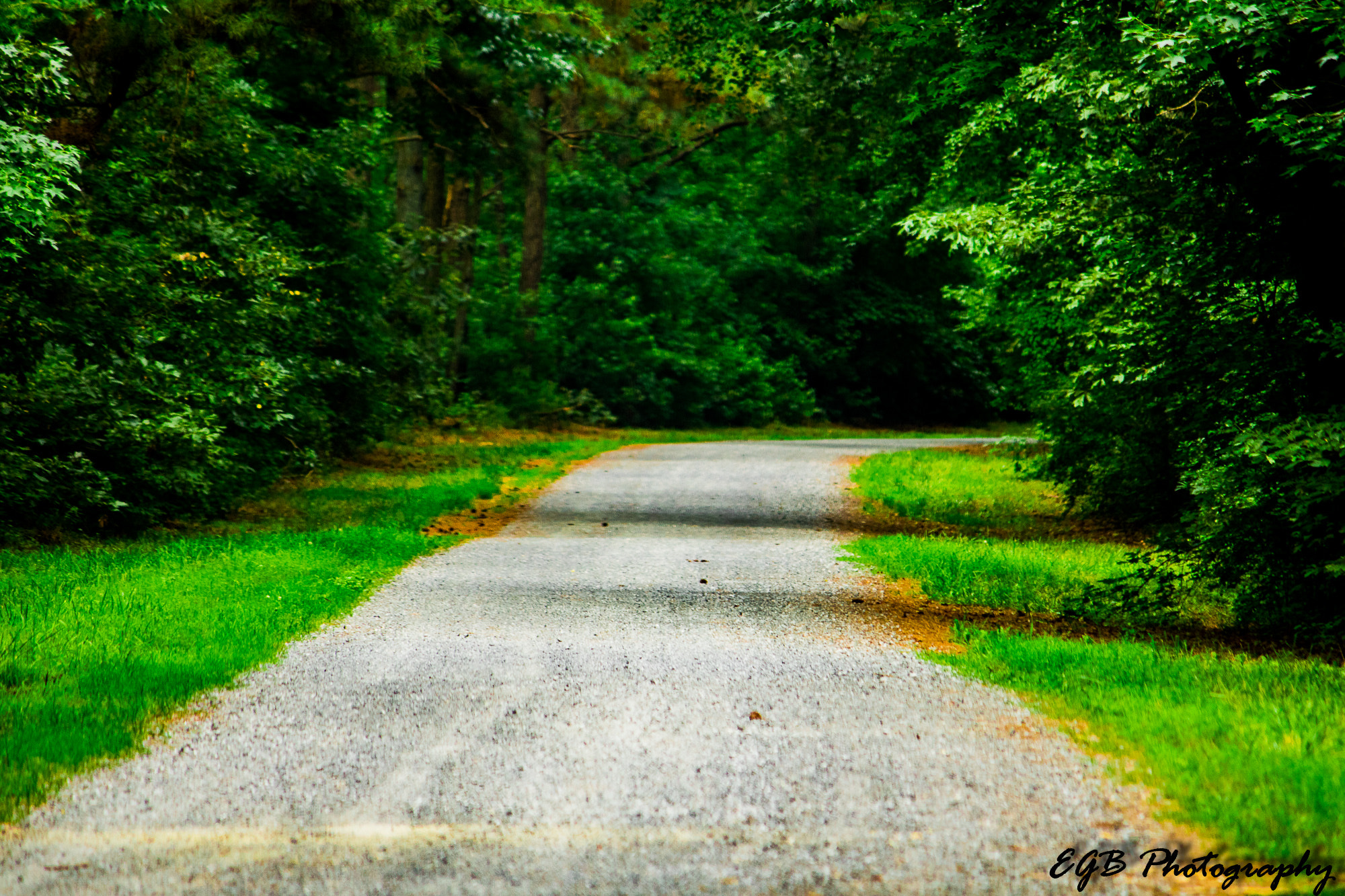 Canon EF-S 55-250mm F4-5.6 IS sample photo. Where will "your" road take you. photography