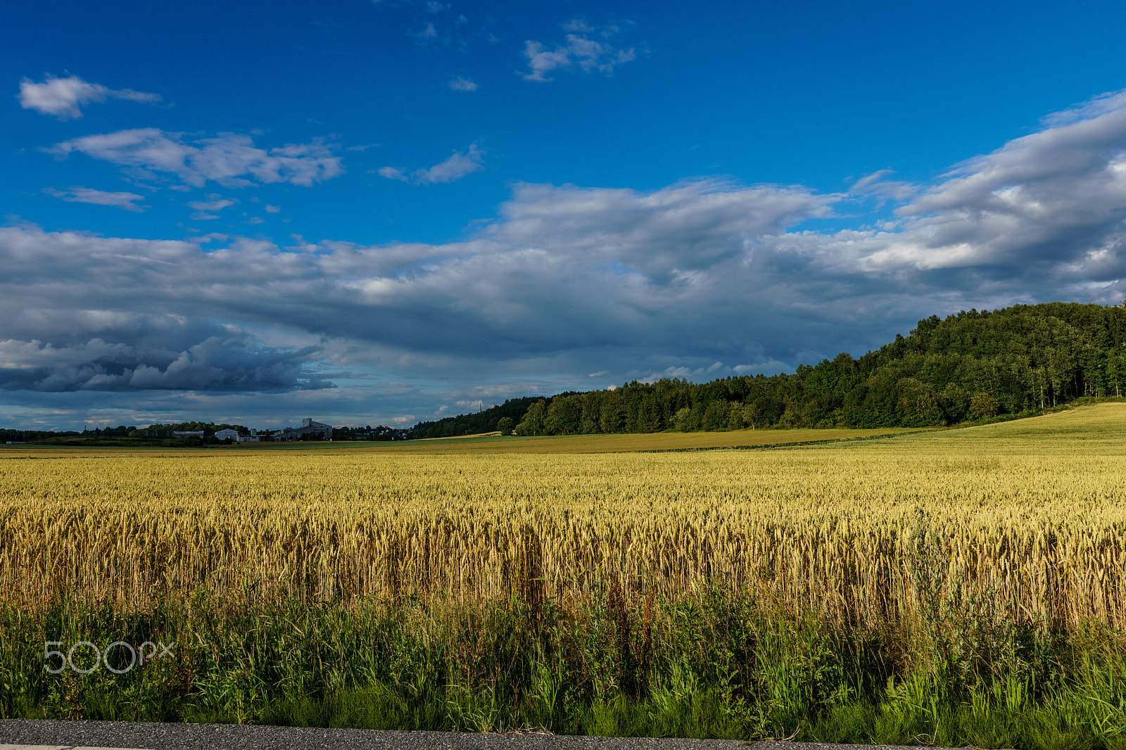 Sony a6300 + 18-35mm F1.8 DC HSM | Art 013 sample photo. Evening light photography