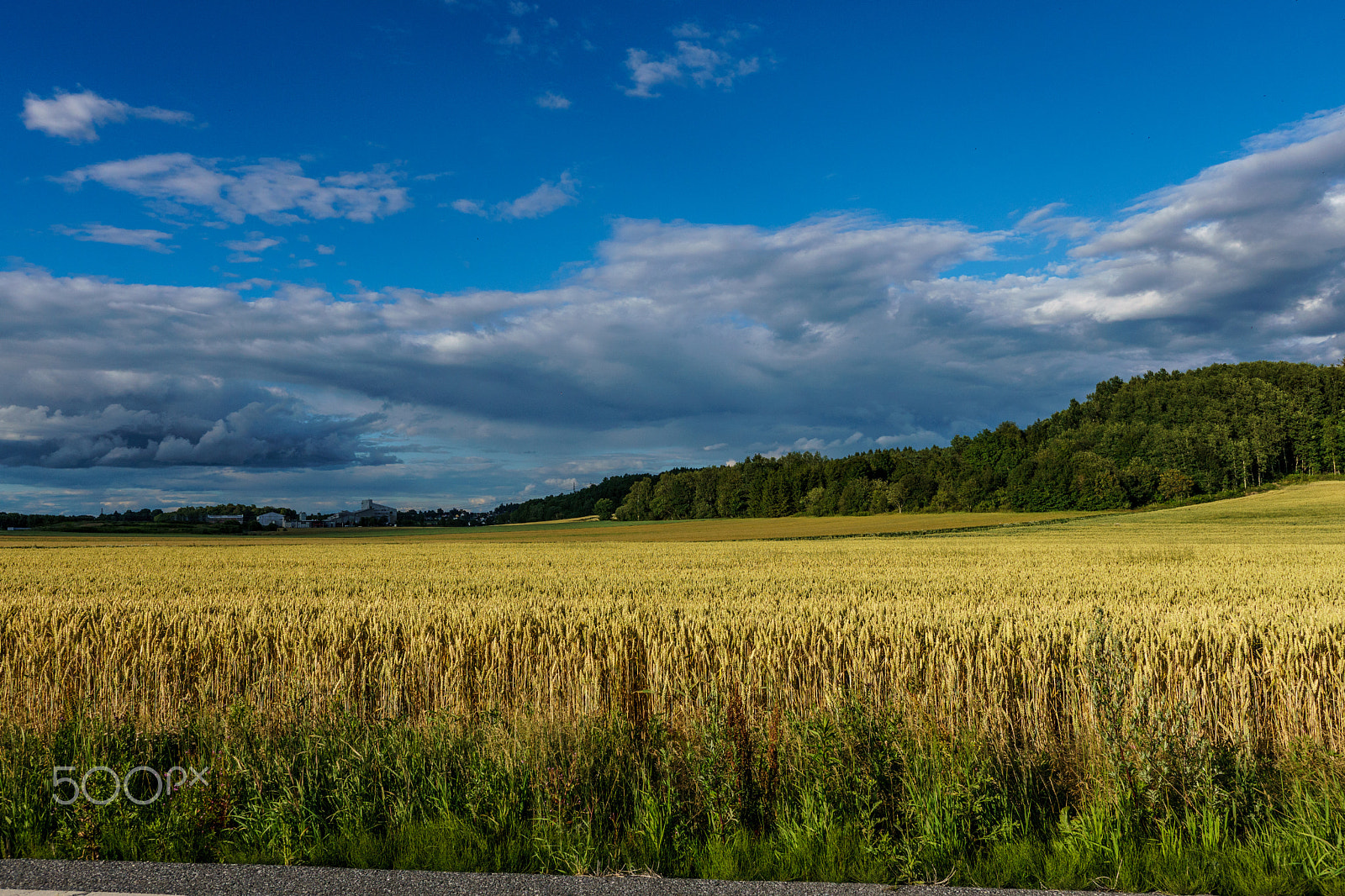 Sony a6300 sample photo. Evening light photography