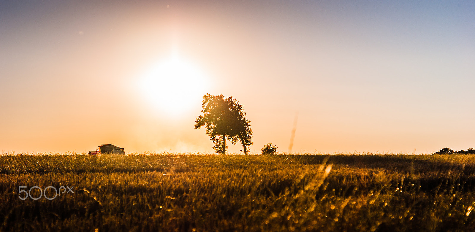 Sony Alpha DSLR-A290 + Sony DT 50mm F1.8 SAM sample photo. Summertime photography