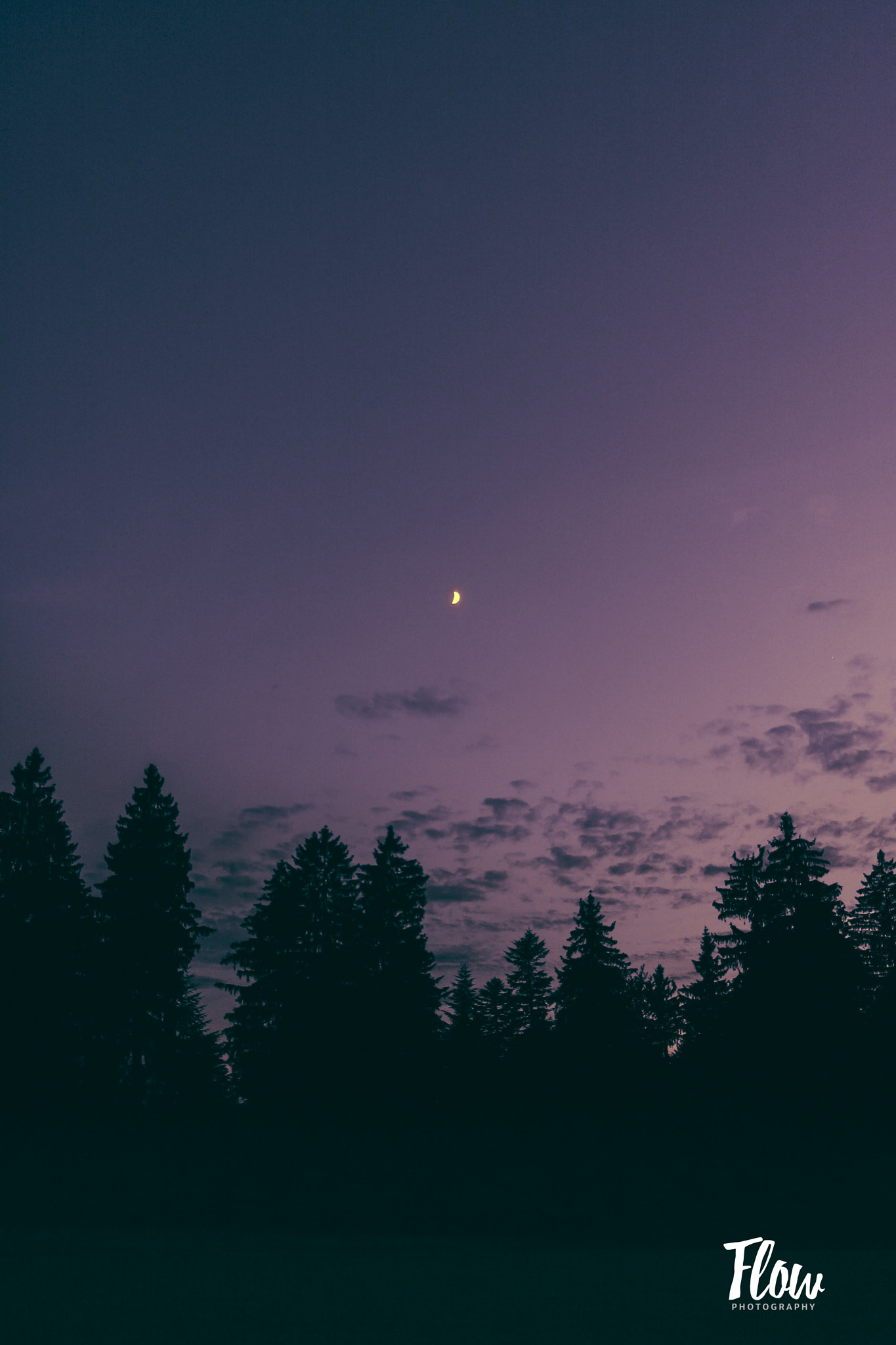 Canon EOS 40D sample photo. Moonrise photography
