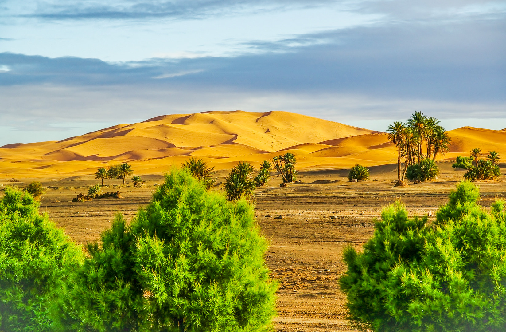 Pentax *ist DS + PENTAX-F 28-80mm F3.5-4.5 sample photo. Oasis in the sahara photography