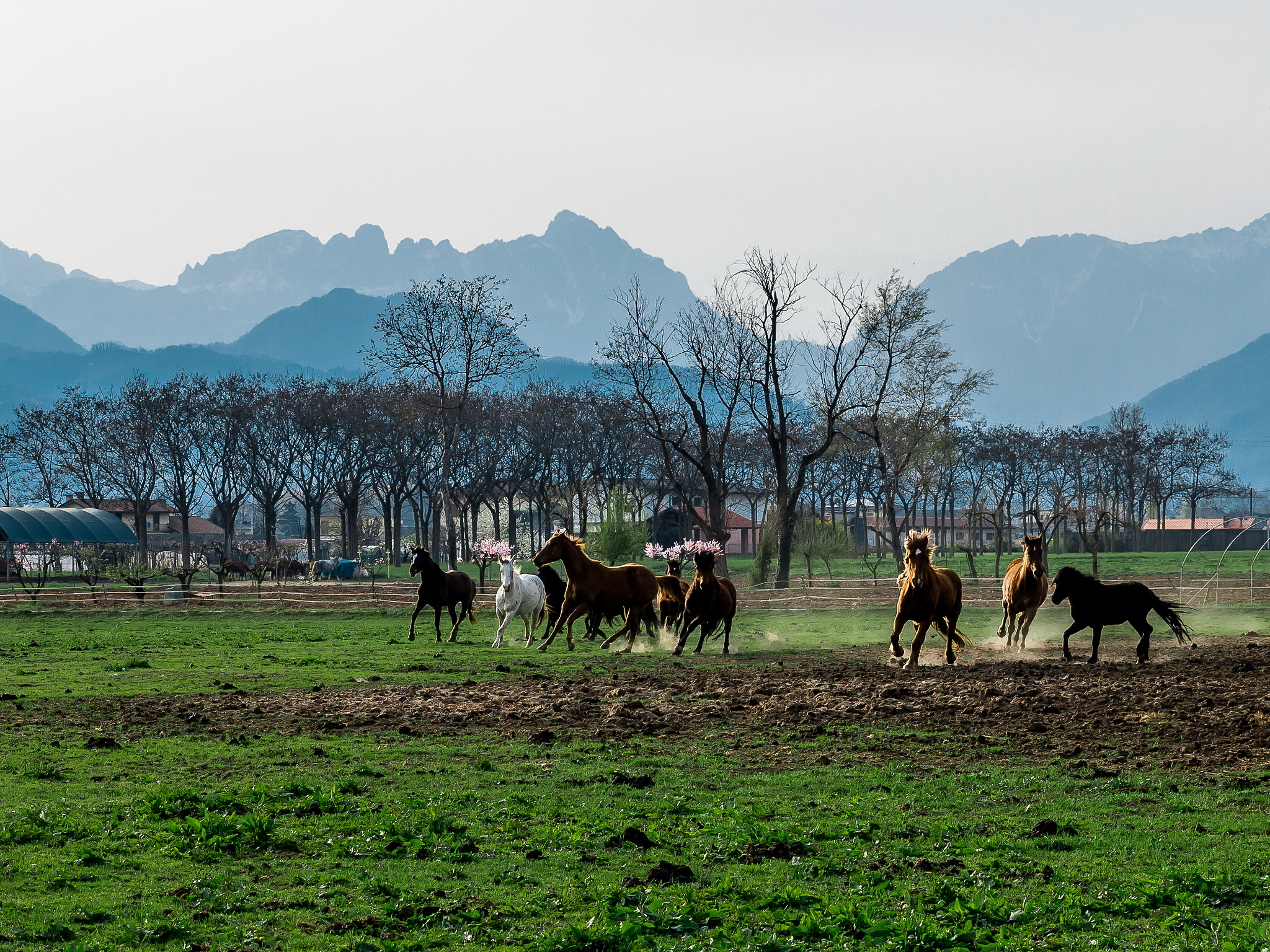 Panasonic Lumix DMC-G5 sample photo. Wild malo photography