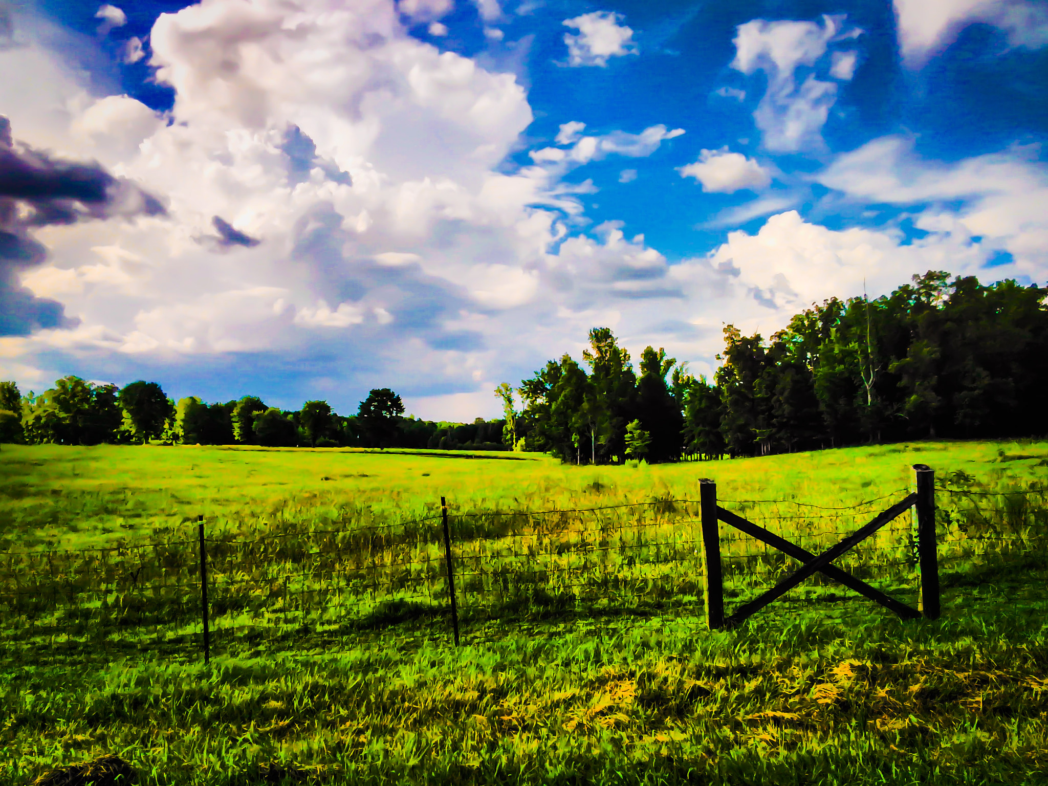 ZTE Z958 sample photo. Another alabama sky photography