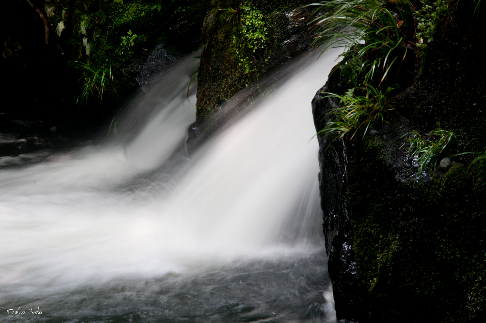 Sony Alpha DSLR-A700 sample photo. Splash photography